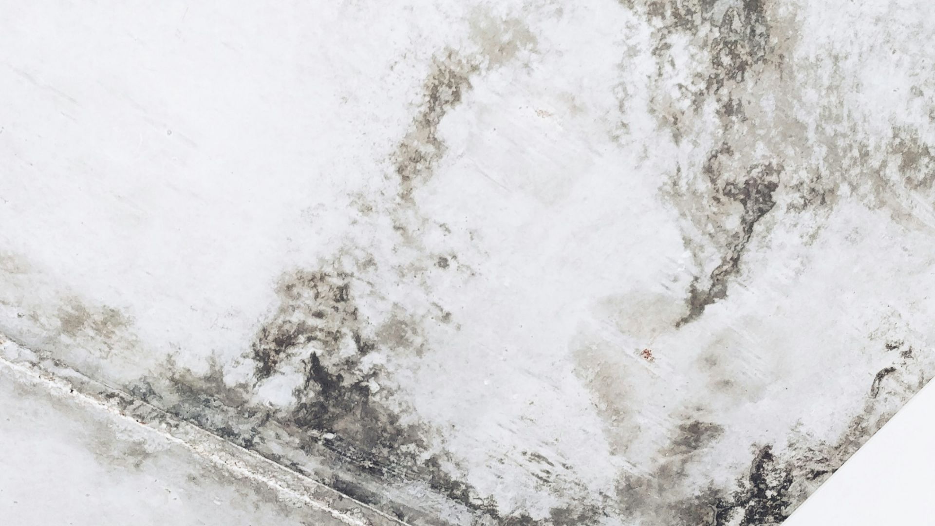 white and gray concrete wall