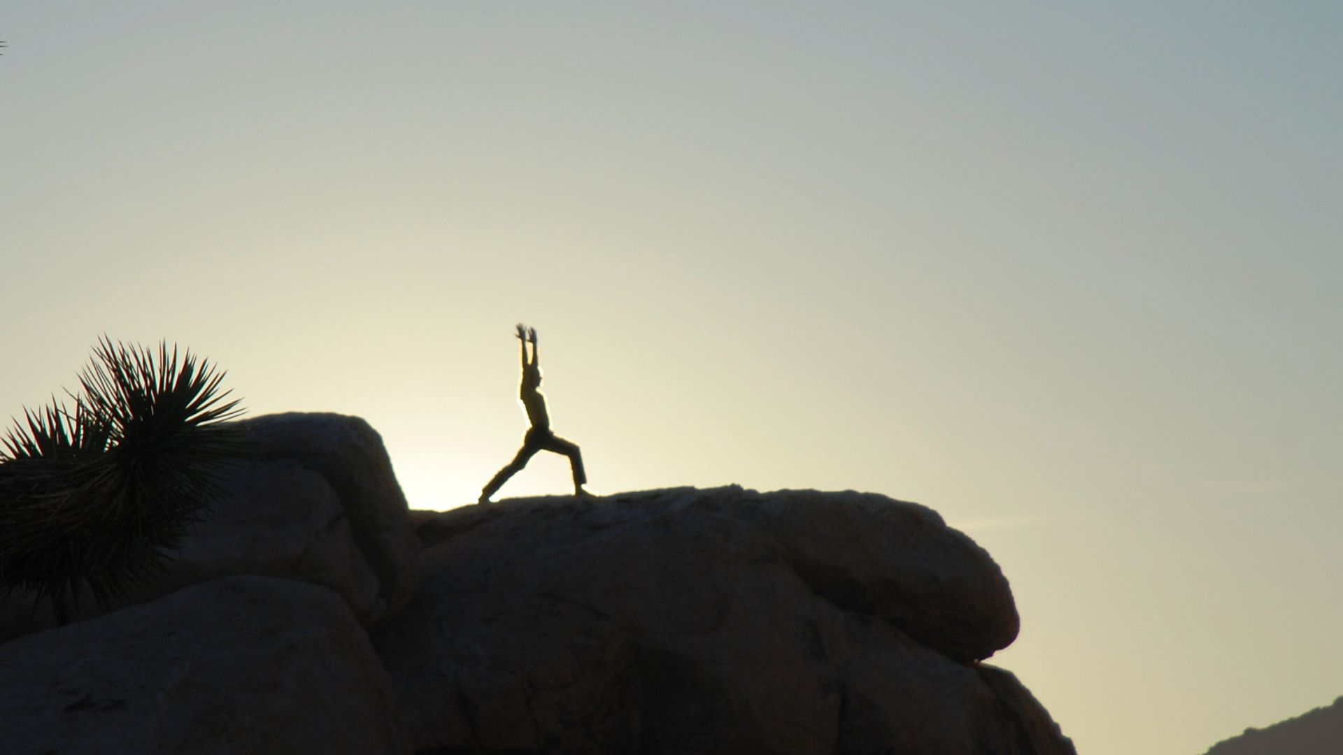 File:Joshua Tree yoga - warrior 1b.jpg