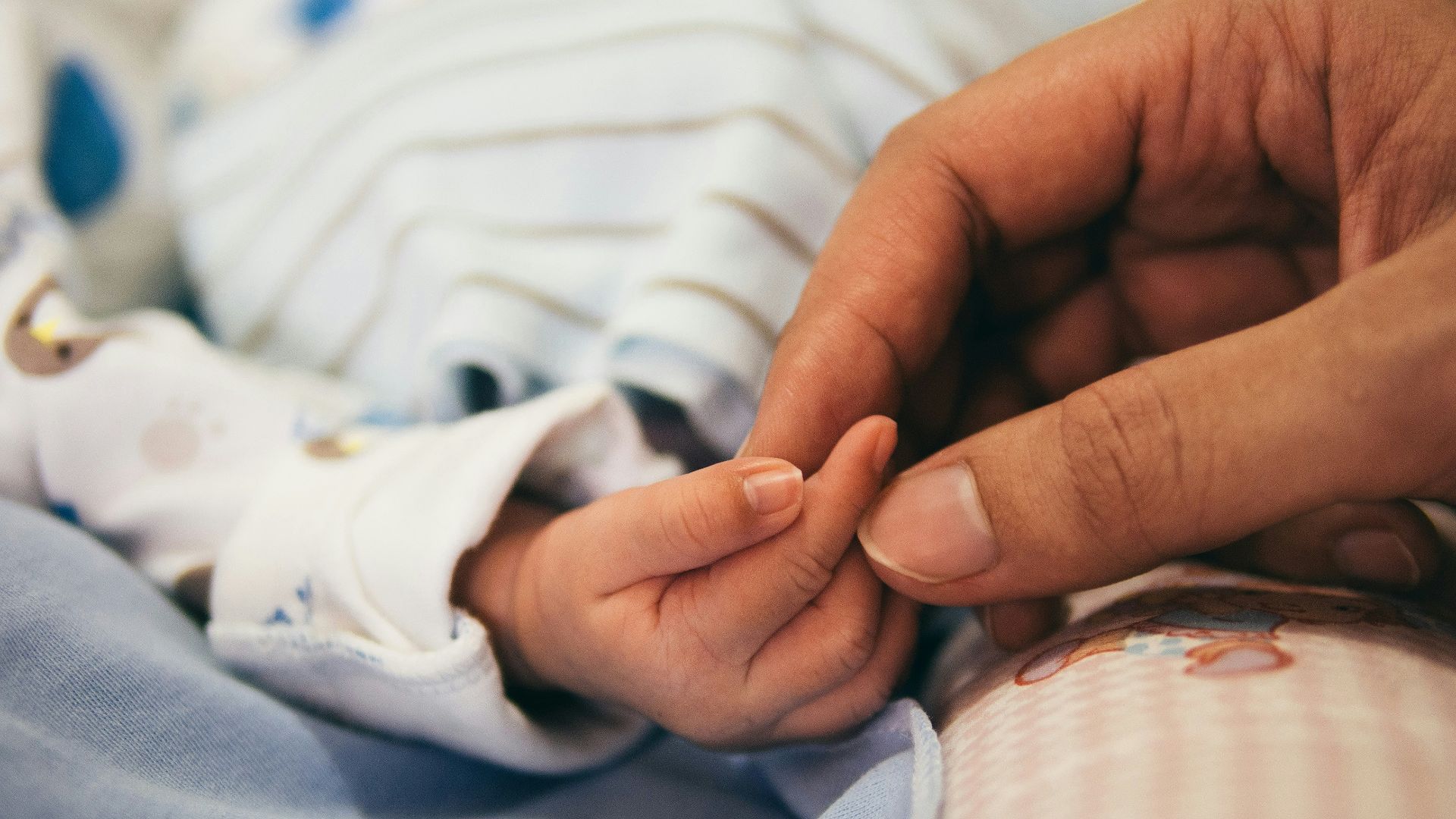 person holding baby's index finger