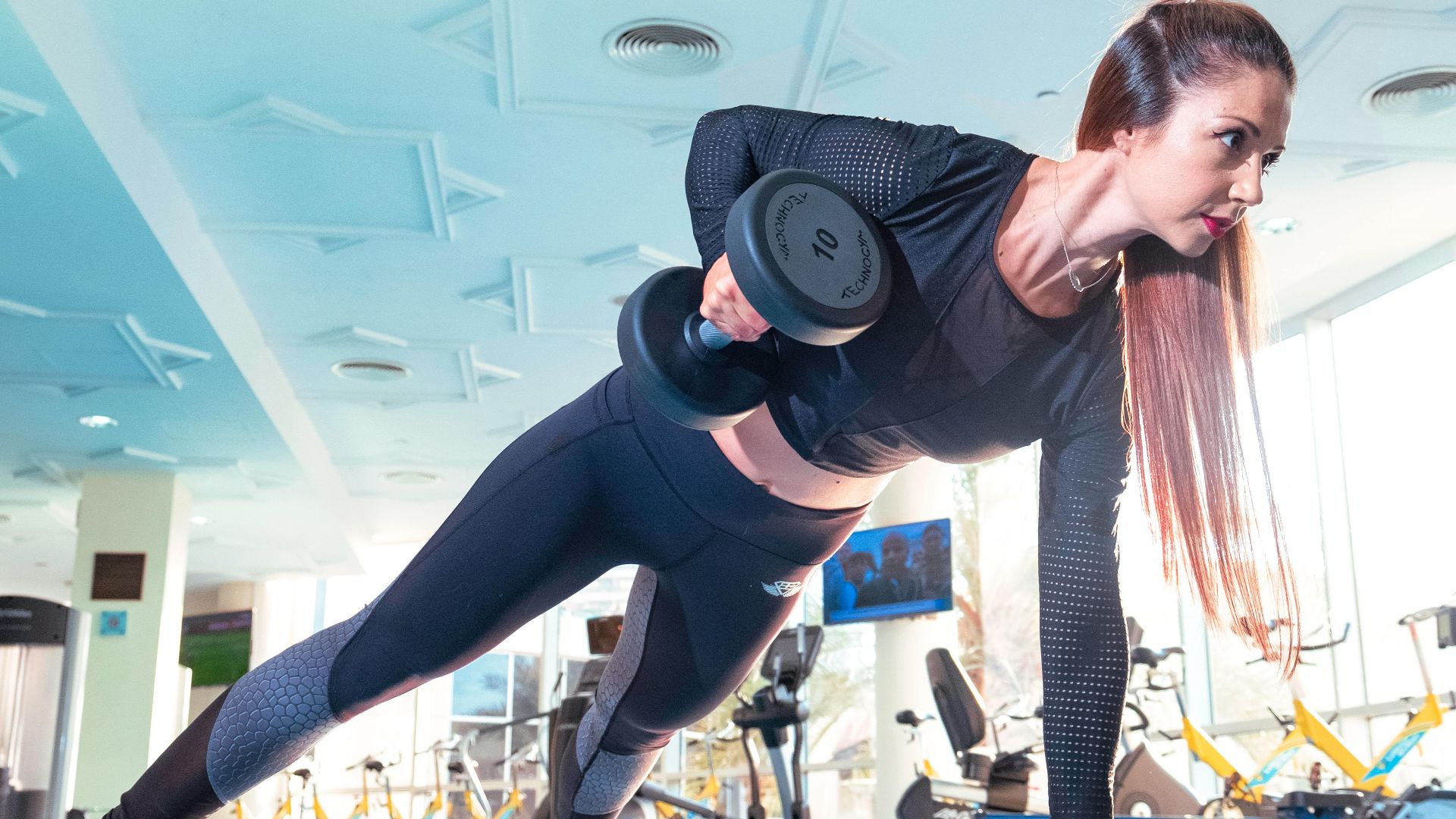 The Lazy Artist Gallery