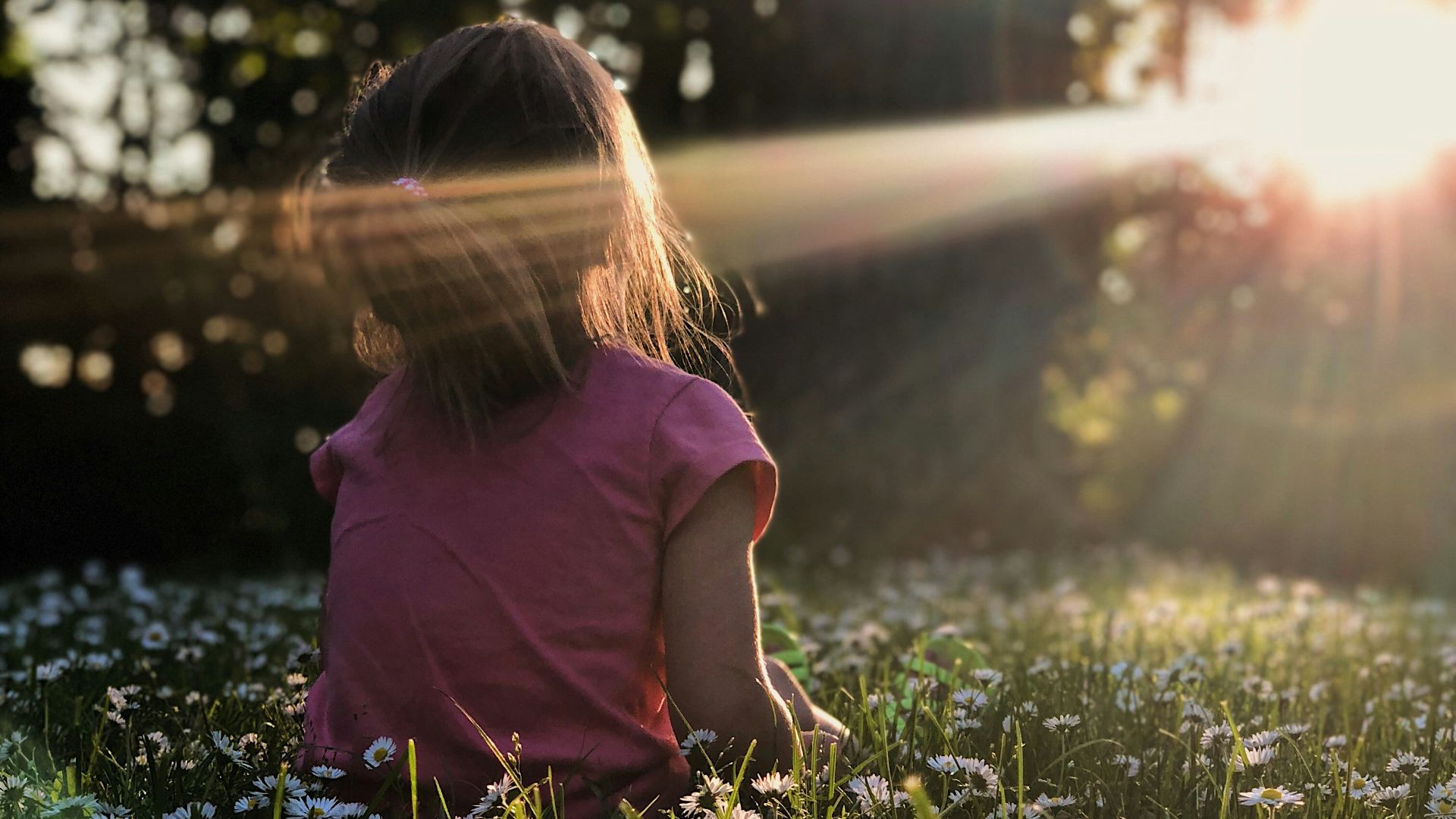 girl sitting on daisy flowerbed in forest