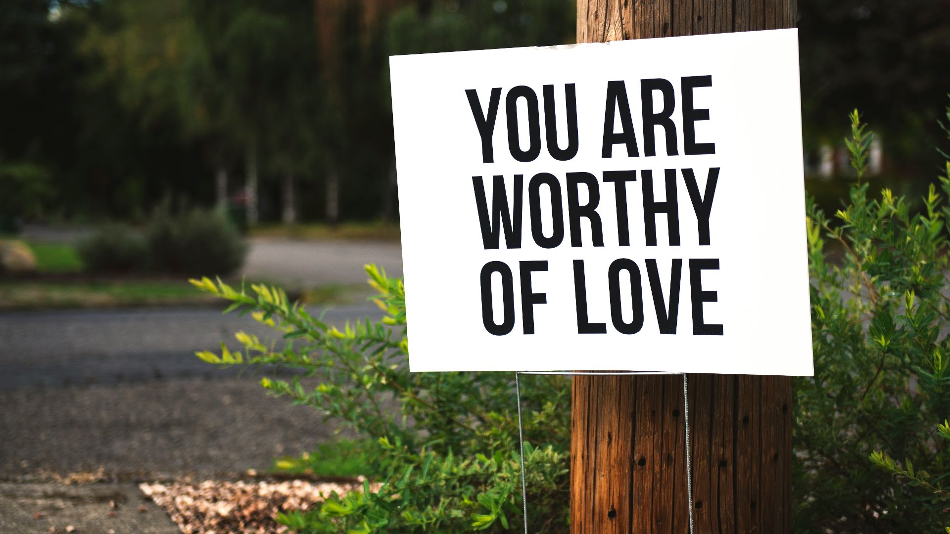you are worthy of love sign beside tree and road