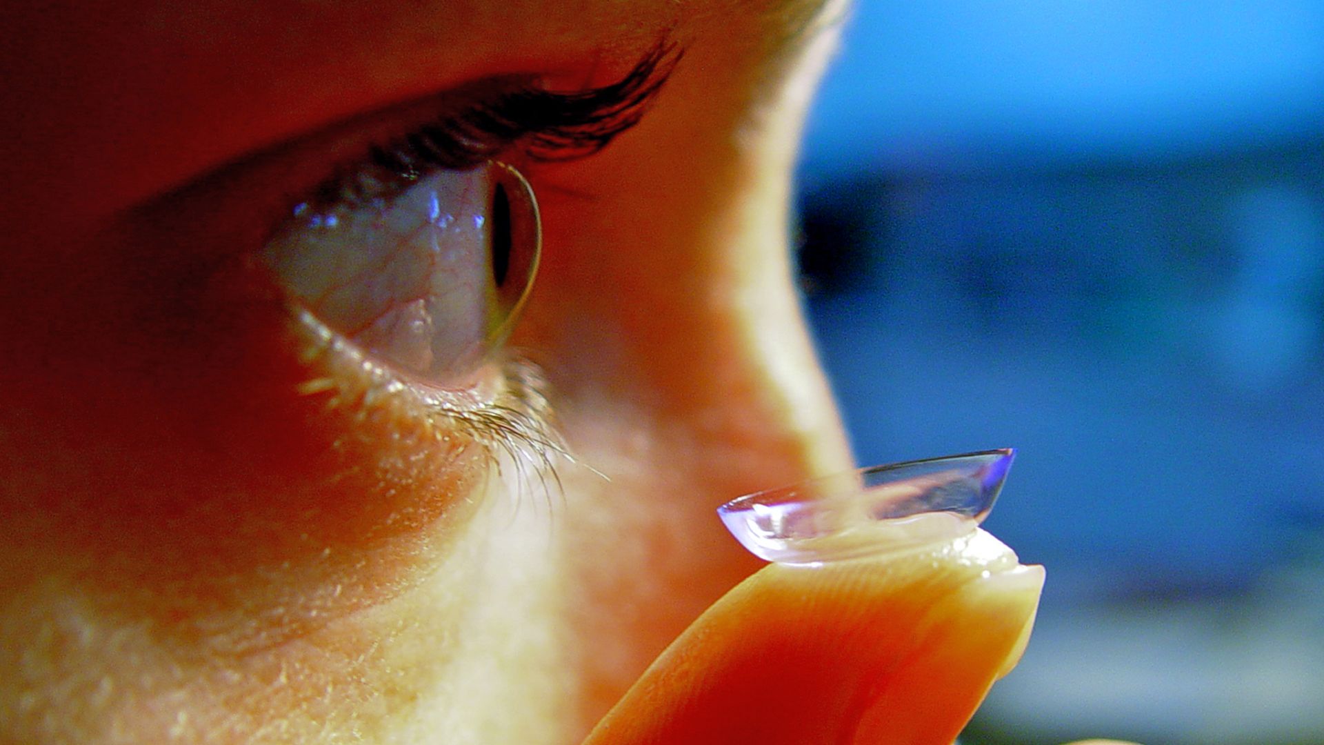File:Contact Lens Ayala.jpg