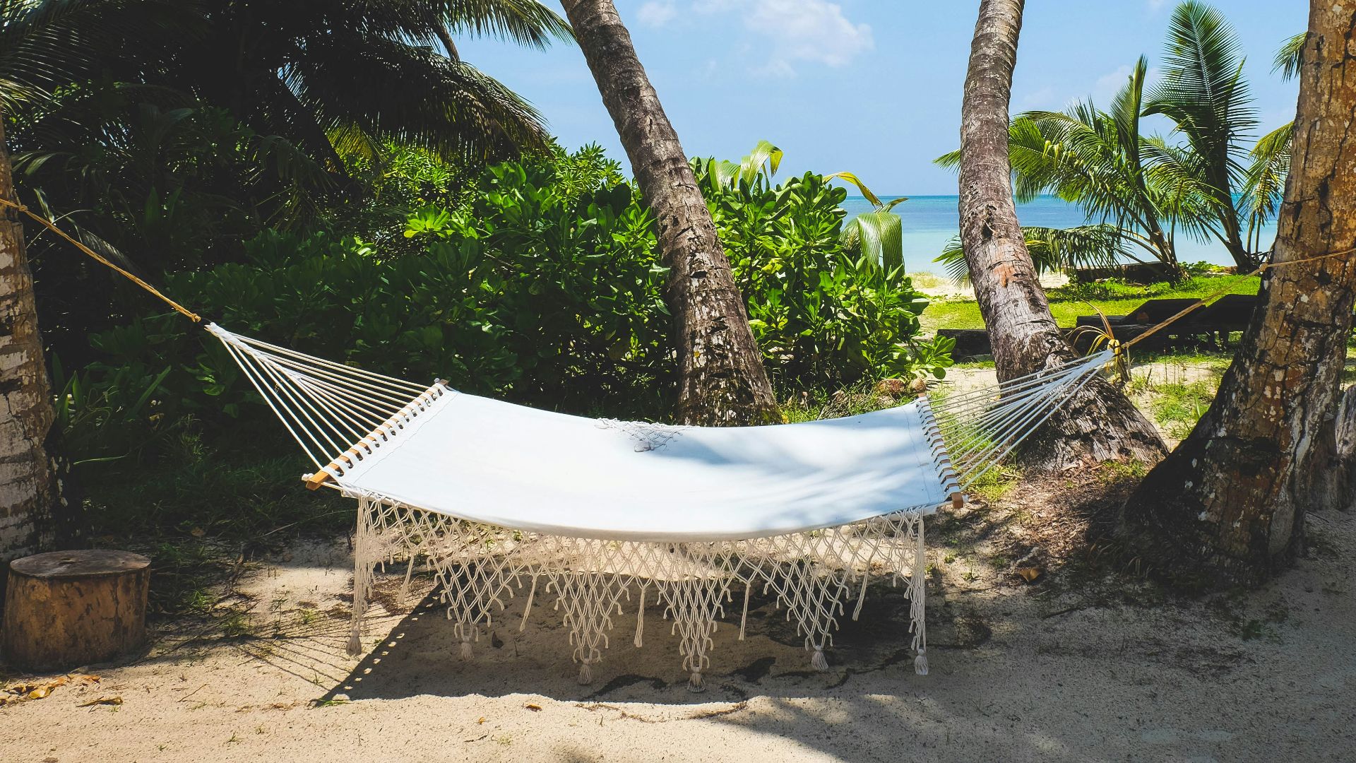 white and black lounge chairs near palm trees under blue sky during daytime