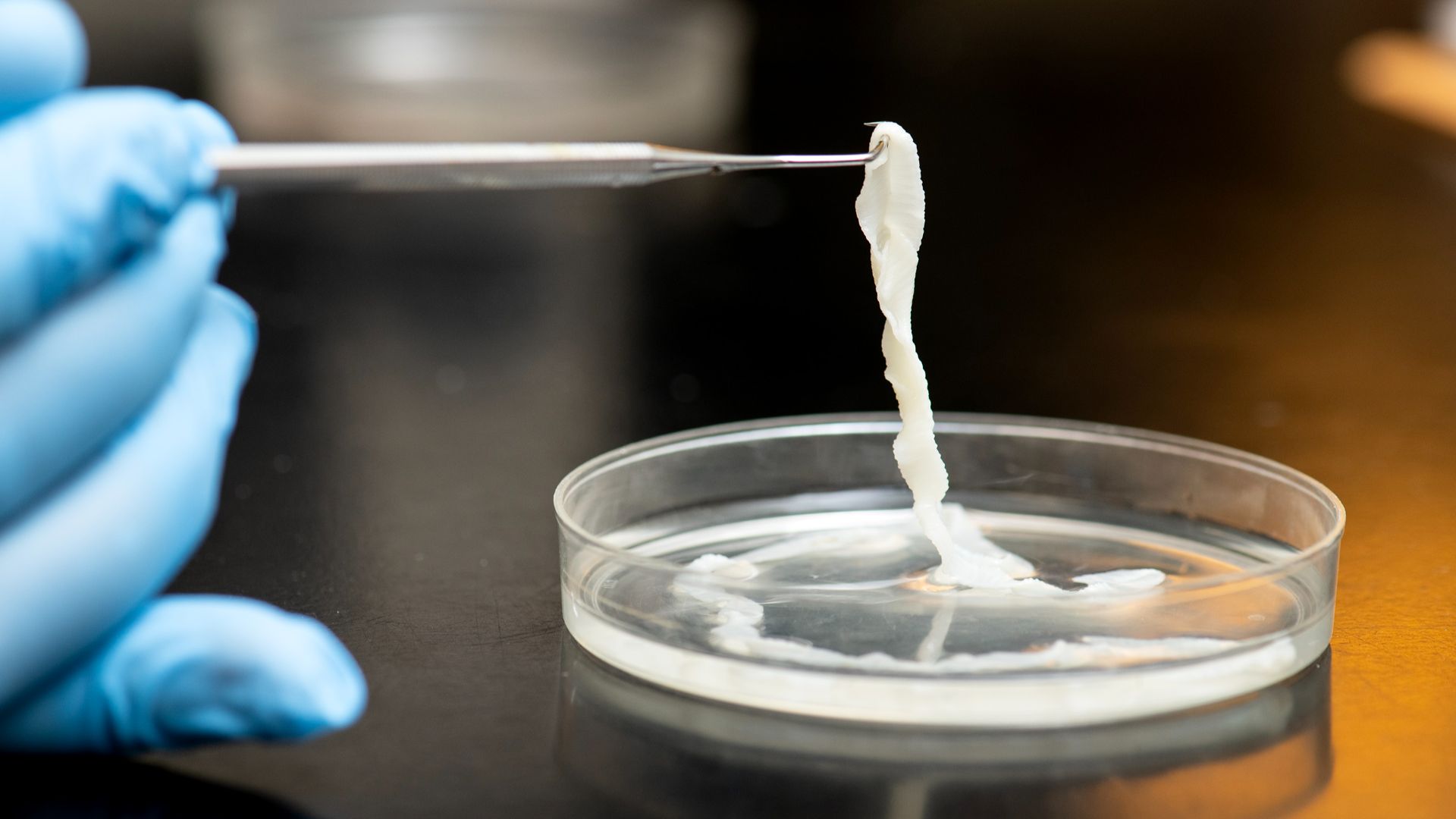File:Parasitology Lab - 53061672165.jpg