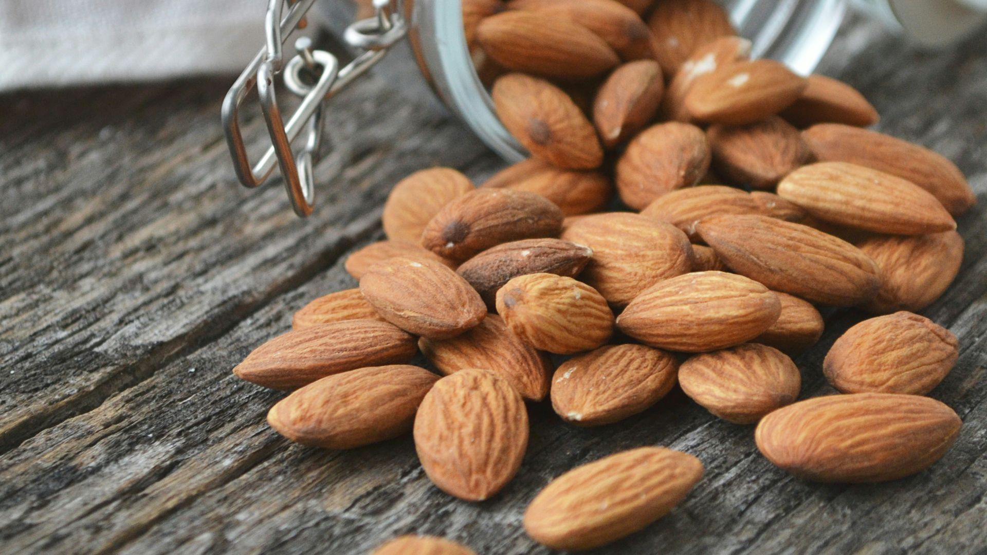 close up photo of Almonds