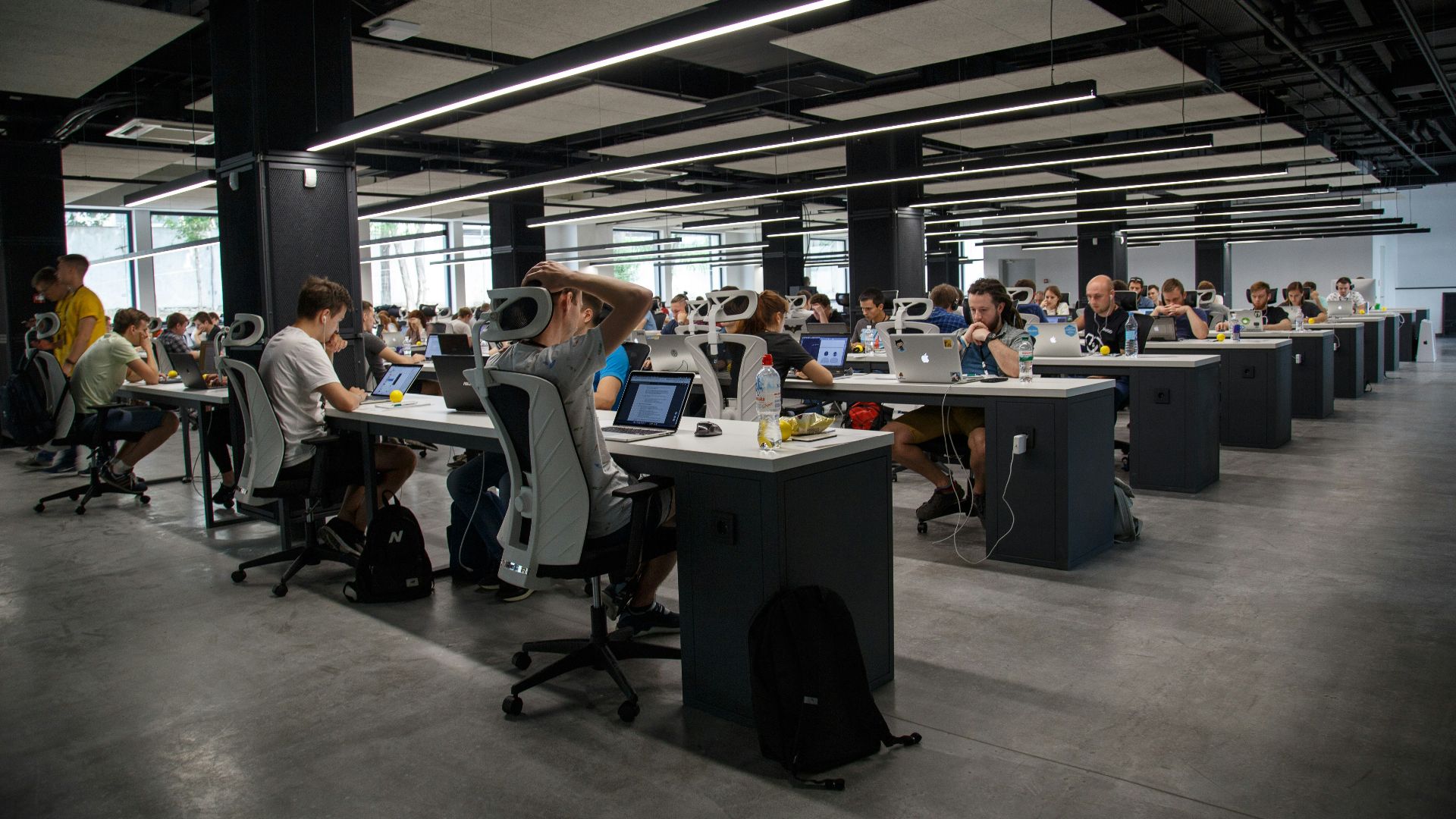 people doing office works