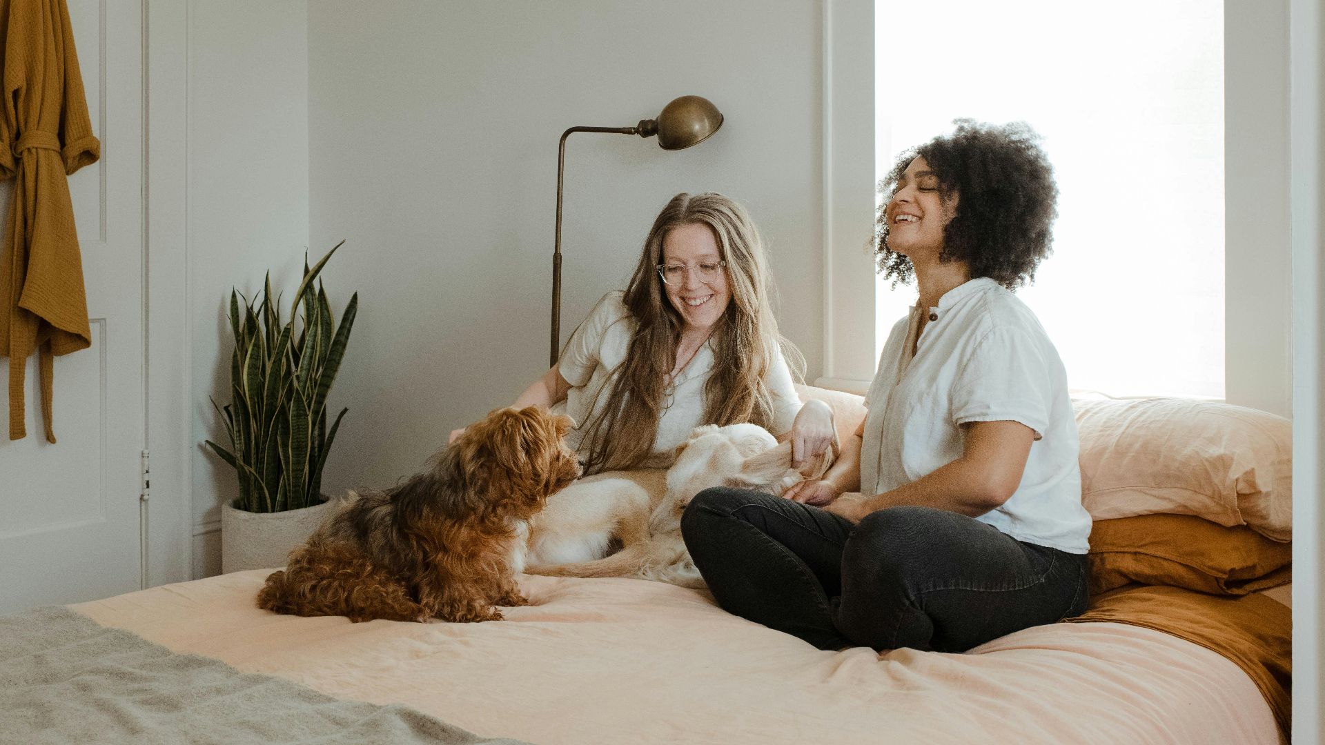 woman in white long sleeve shirt sitting on bed beside brown dog