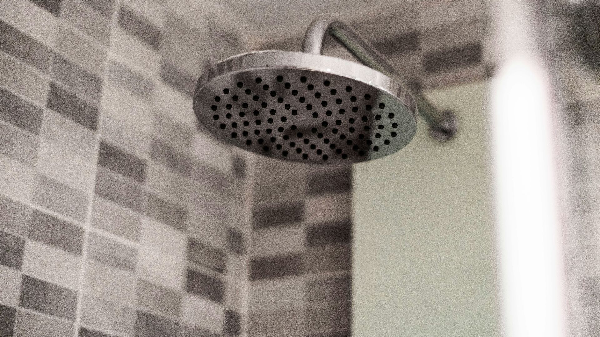 grey stainless steel shower head