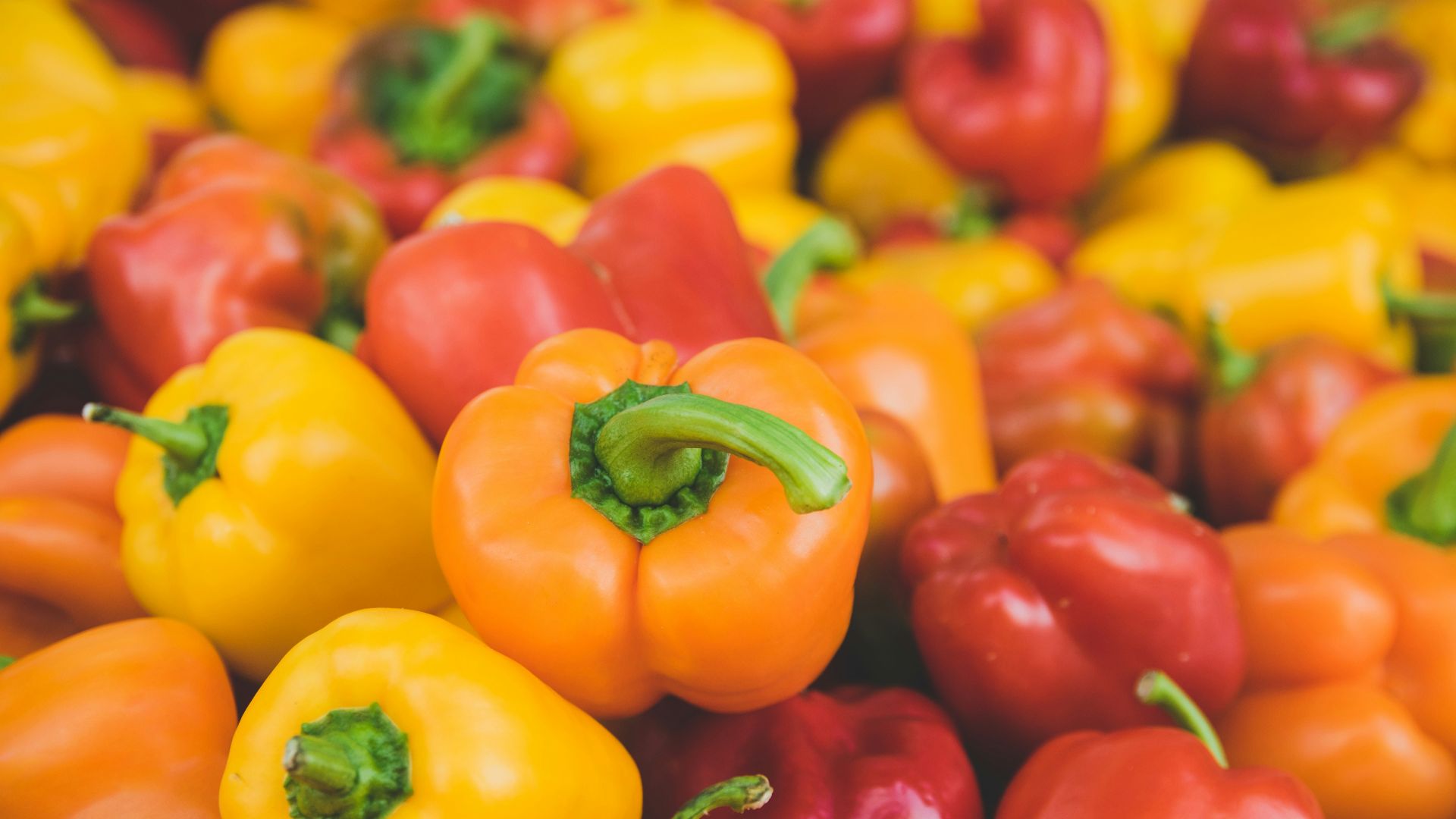 orange and red bellpepper lot