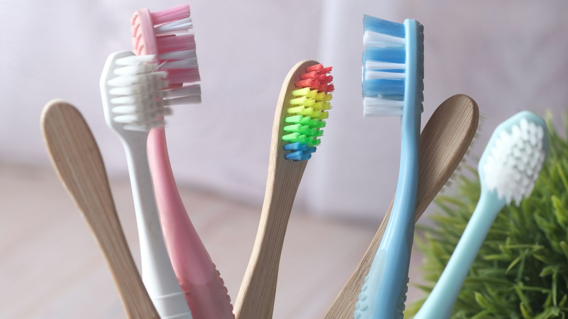 white and blue toothbrush in white ceramic mug