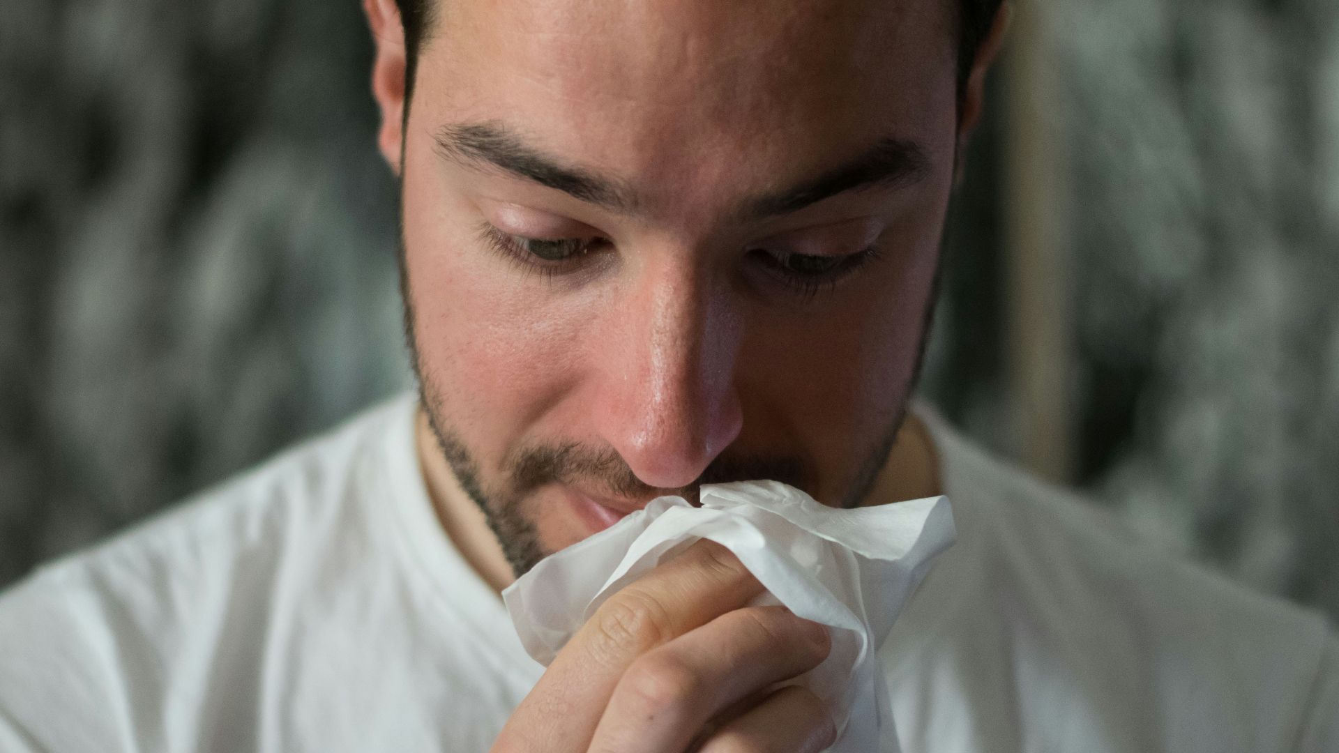 man wiping mouse with tissue paper