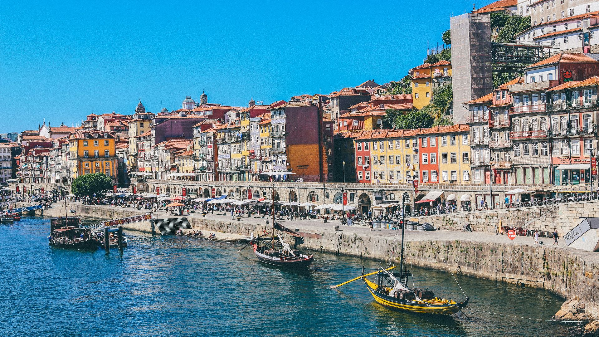 boats docked near seaside promenade]