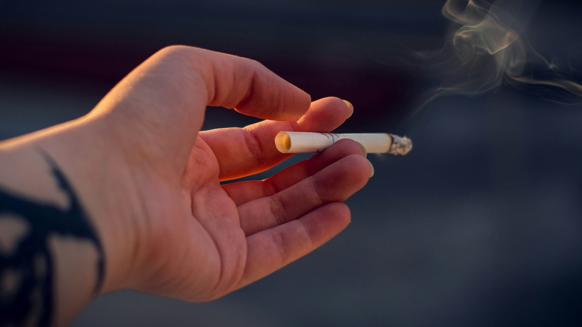 person holding white cigarette stick