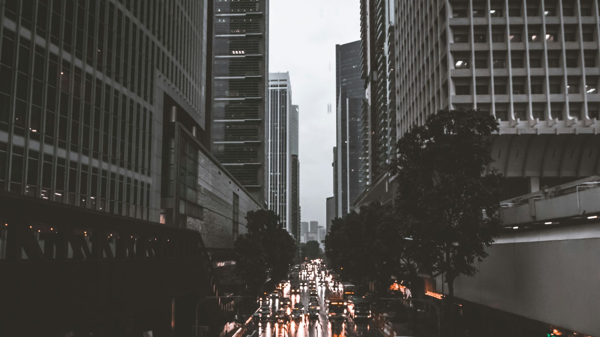people crossing road between high-rise buildings