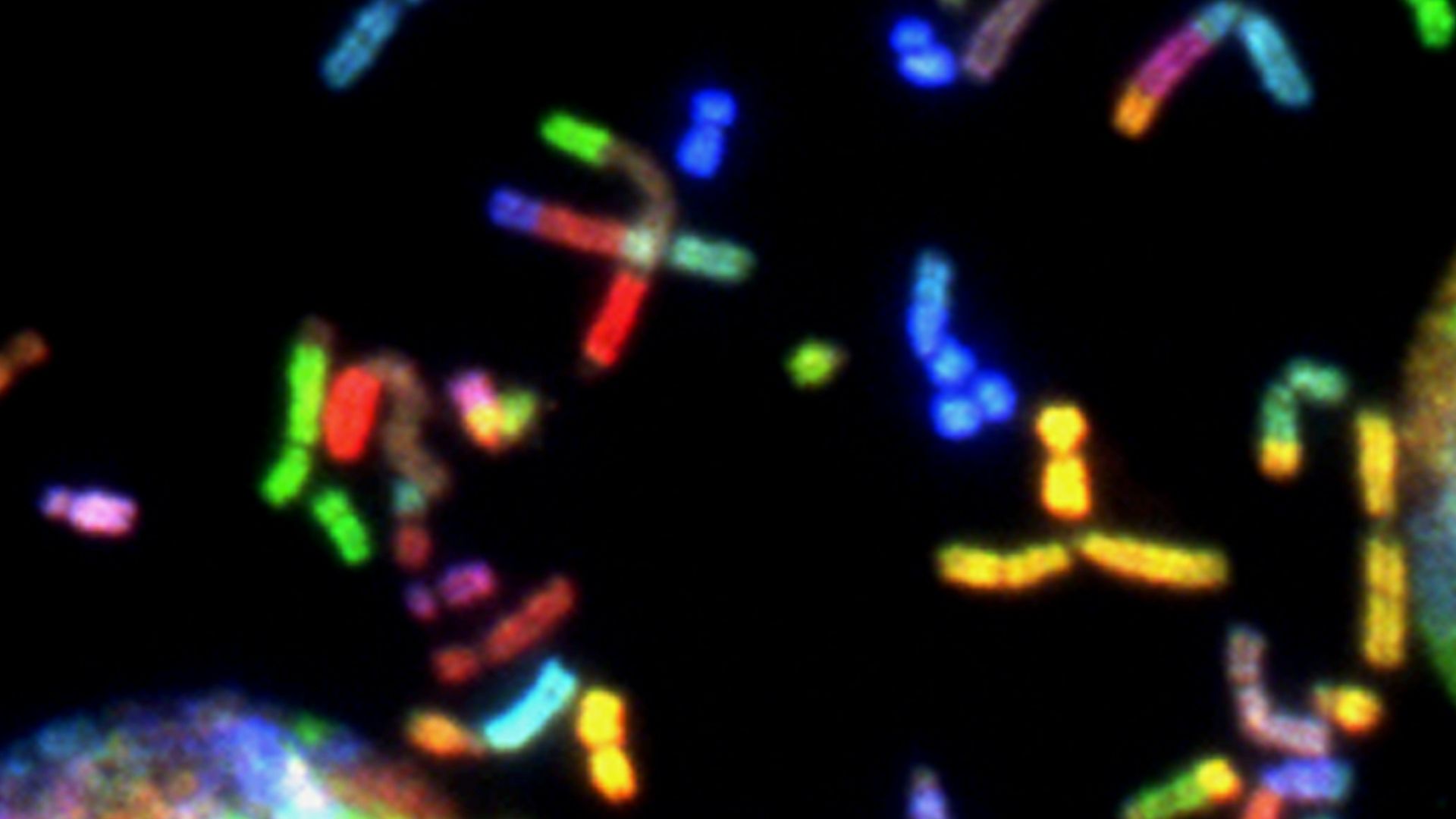 a close up of a cell phone with a black background