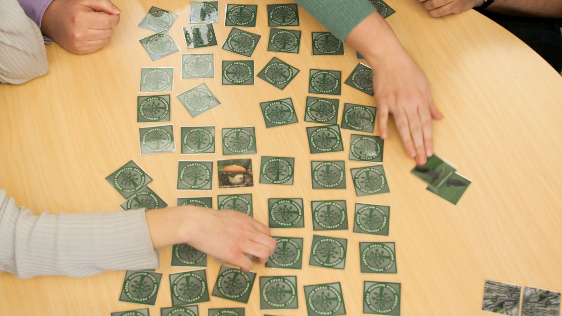 File:WMCZ Protected Areas Card Game-7 (cropped).jpg