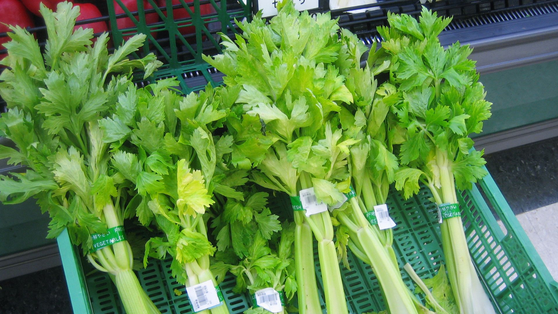 File:Celery 1.jpg