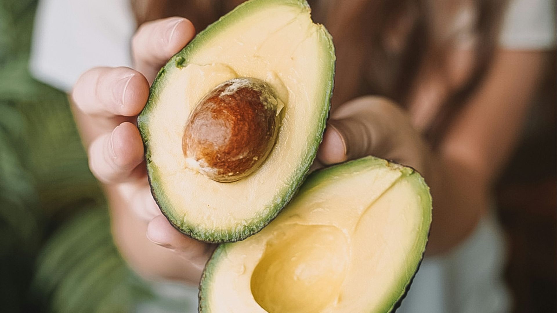 sliced avocado fruit on persons hand