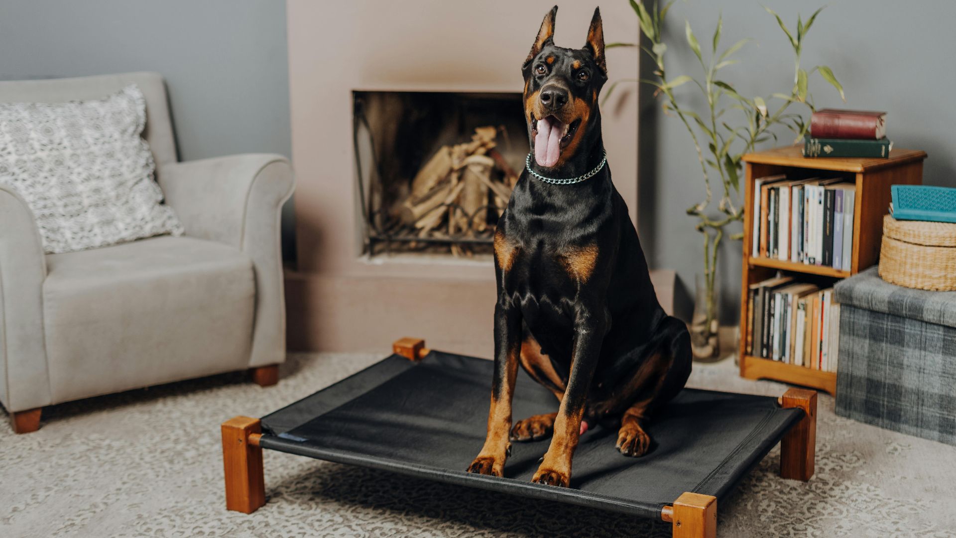 Aysun Kahraman Öktem