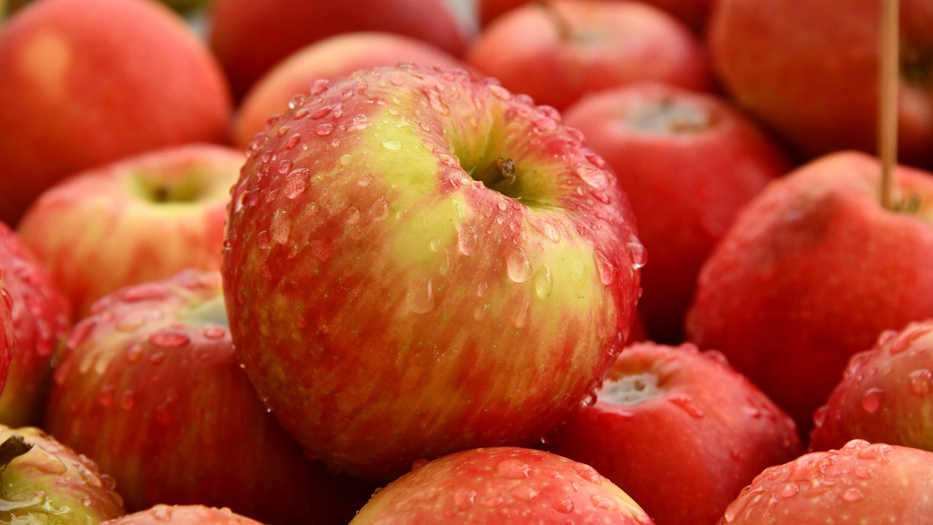red apple fruit