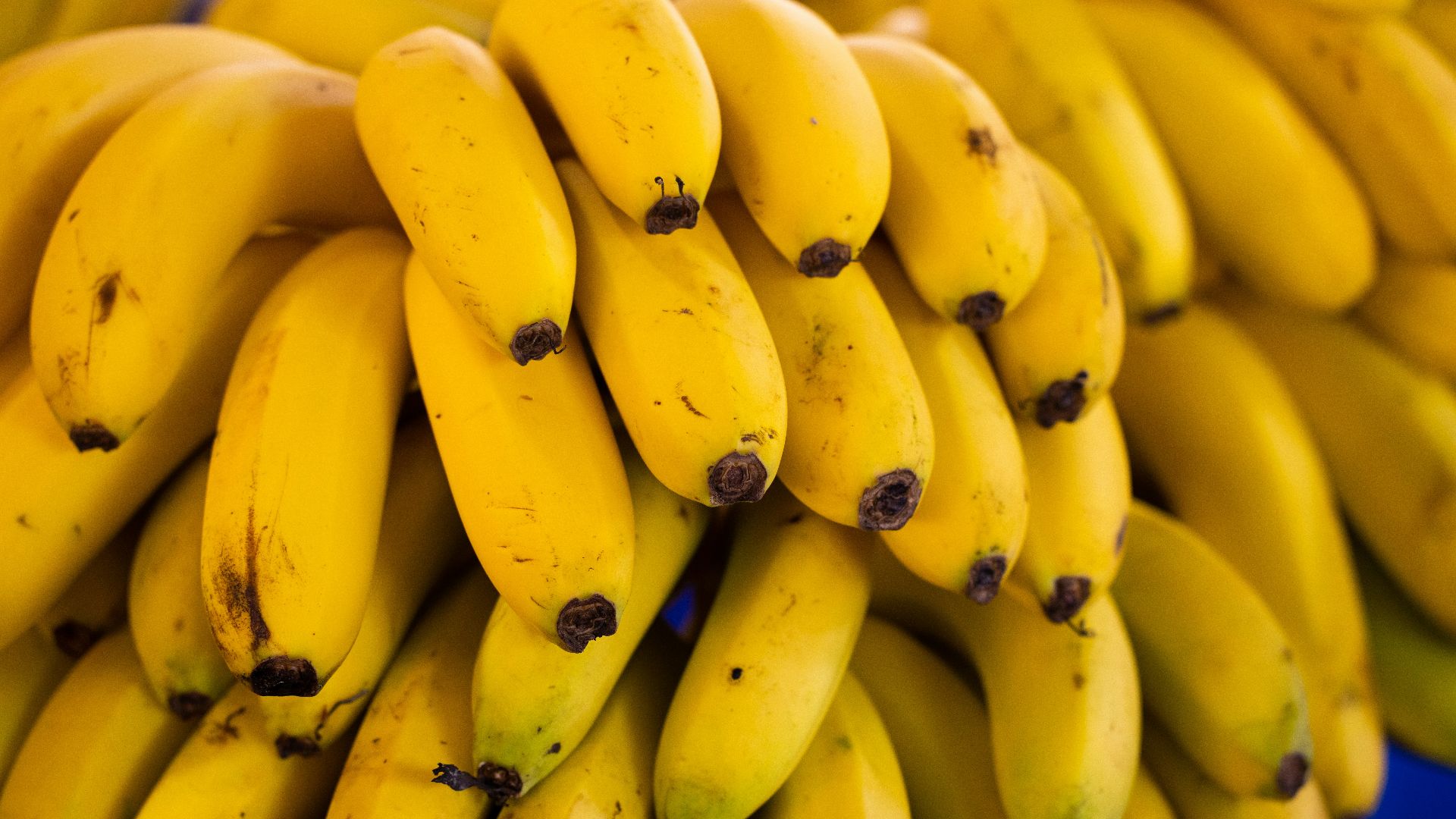 a bunch of bananas sitting on top of a blue table