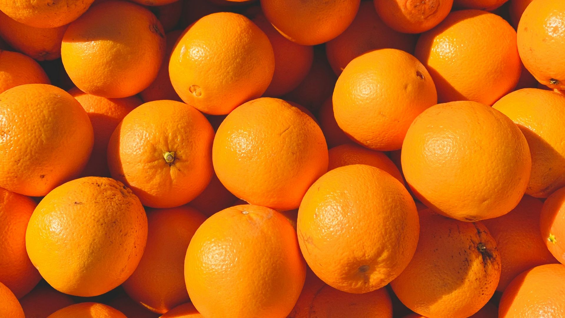orange fruits on white ceramic plate