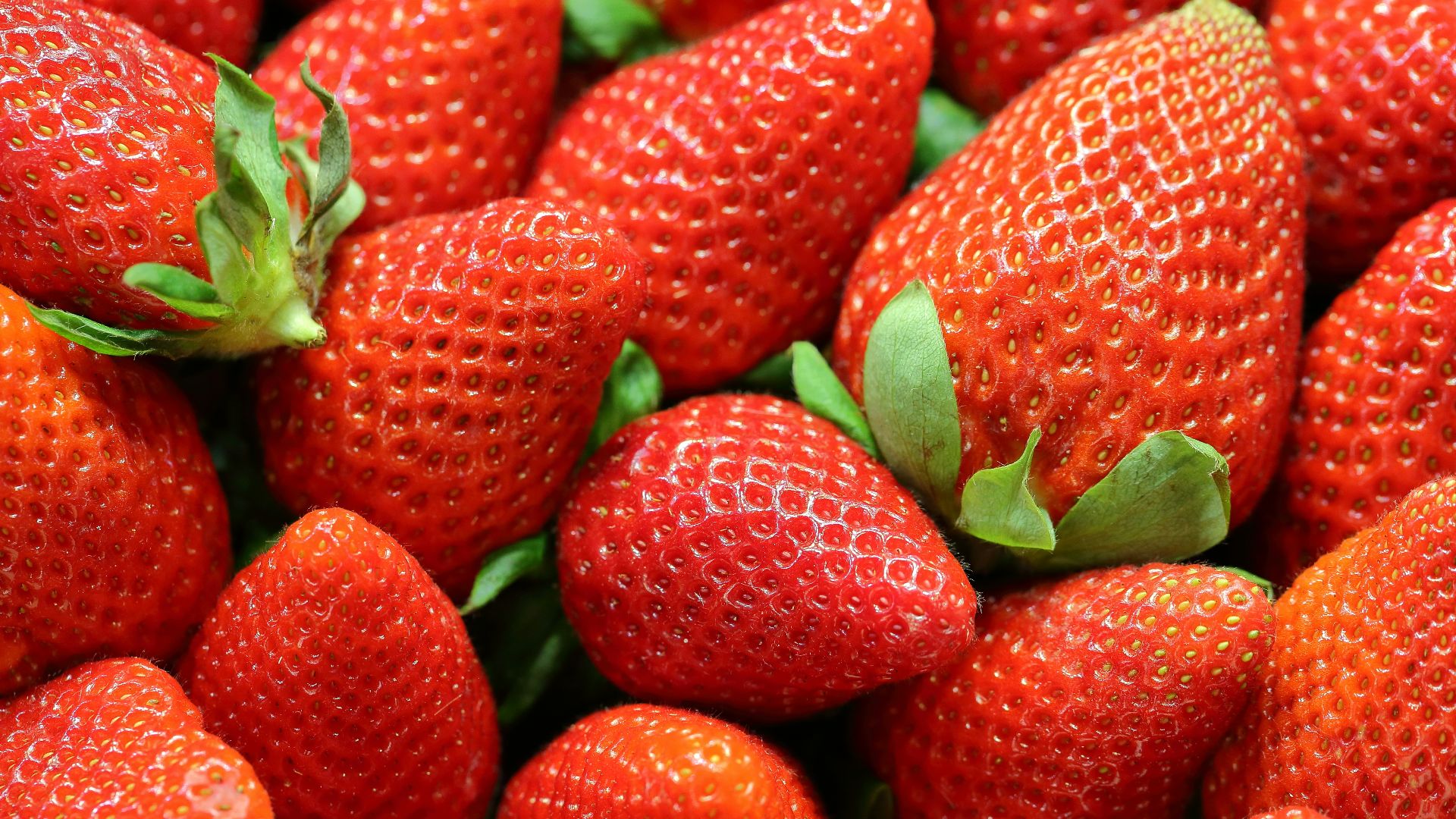 strawberry lot