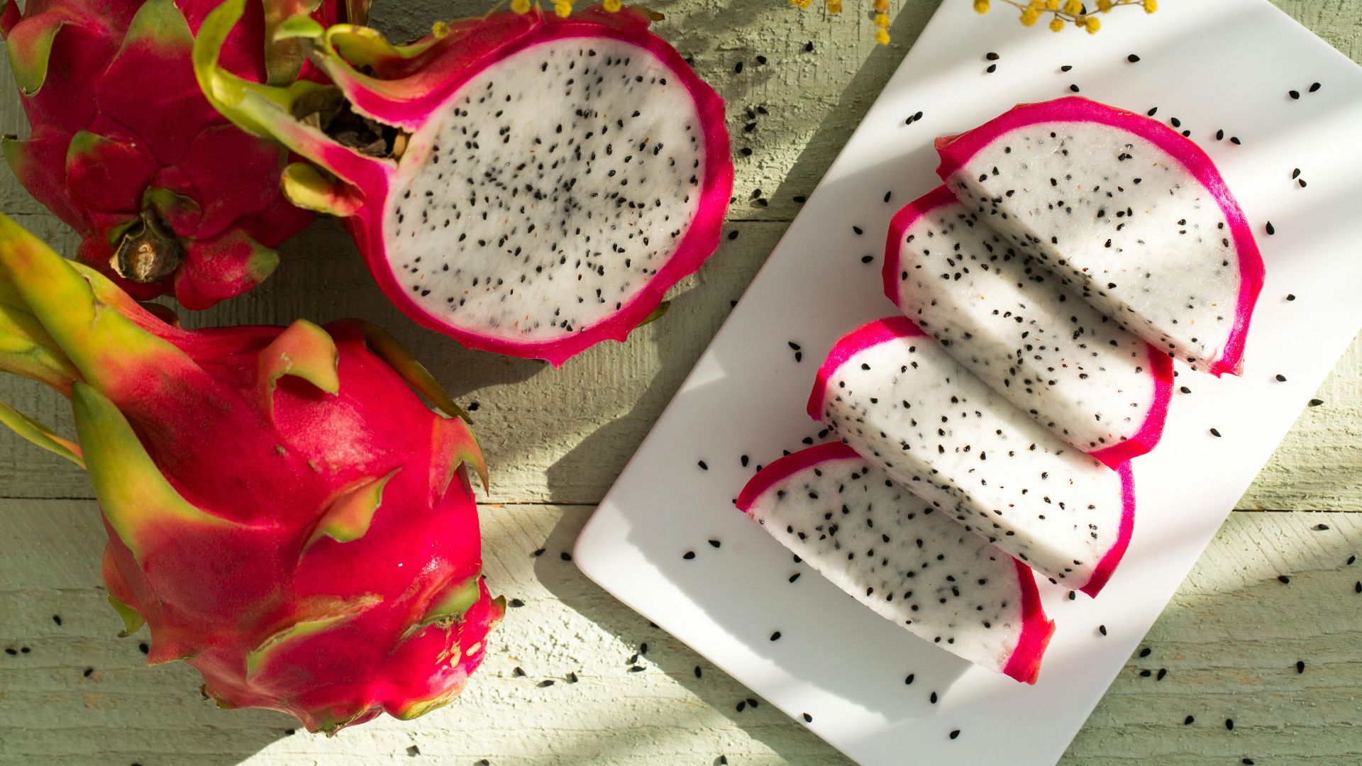 Lovefood Art
