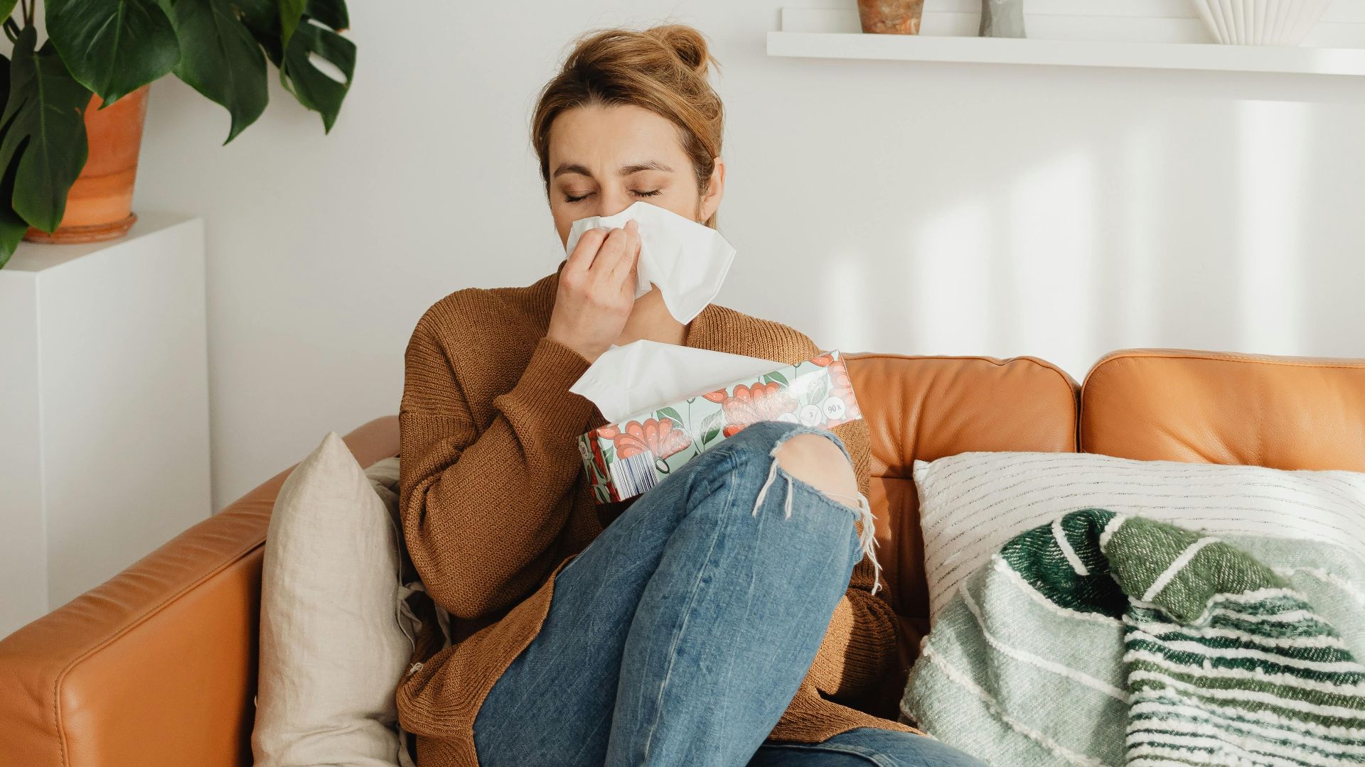 Photo By: Kaboompics.com