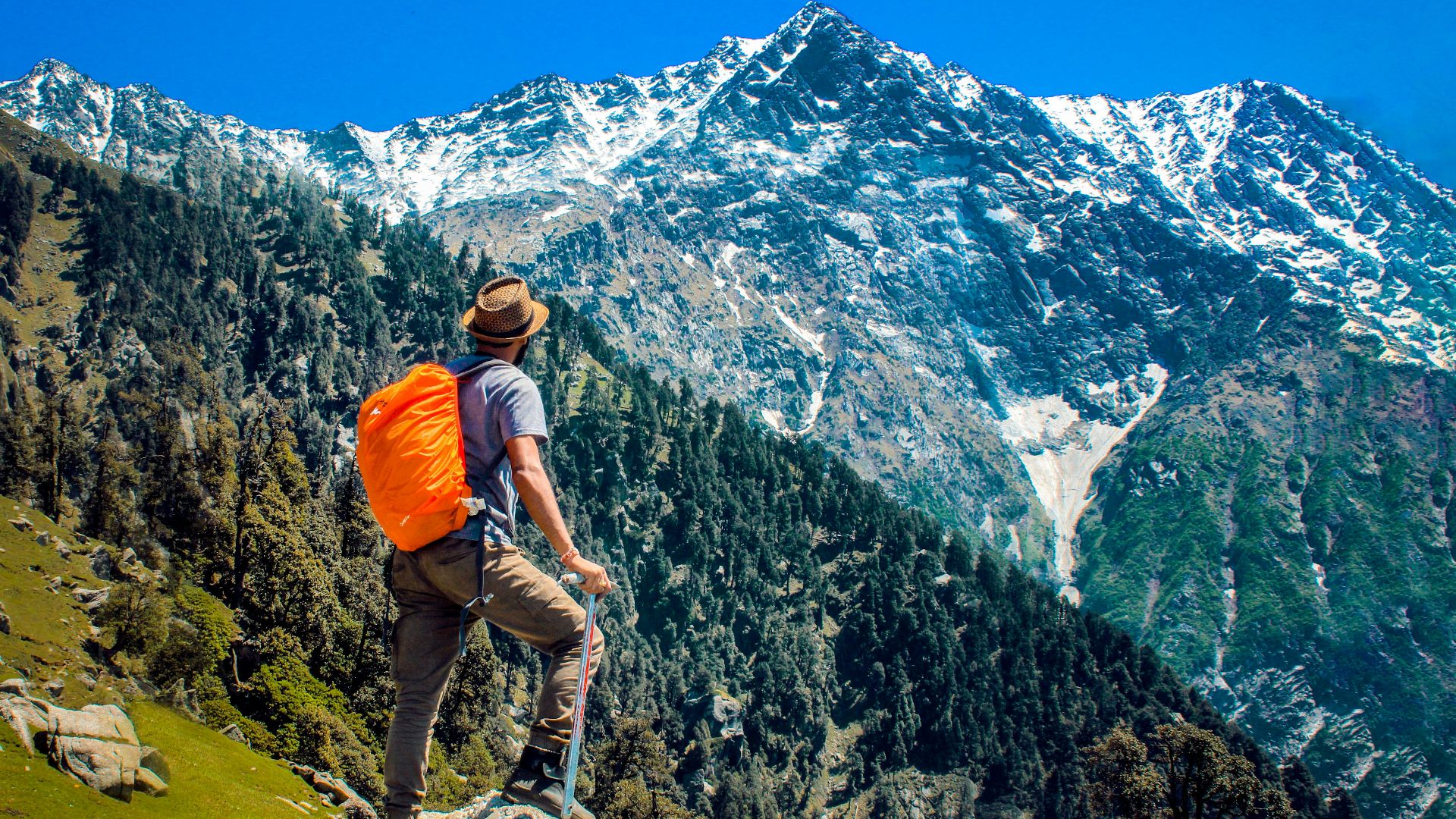 DreamLens Production