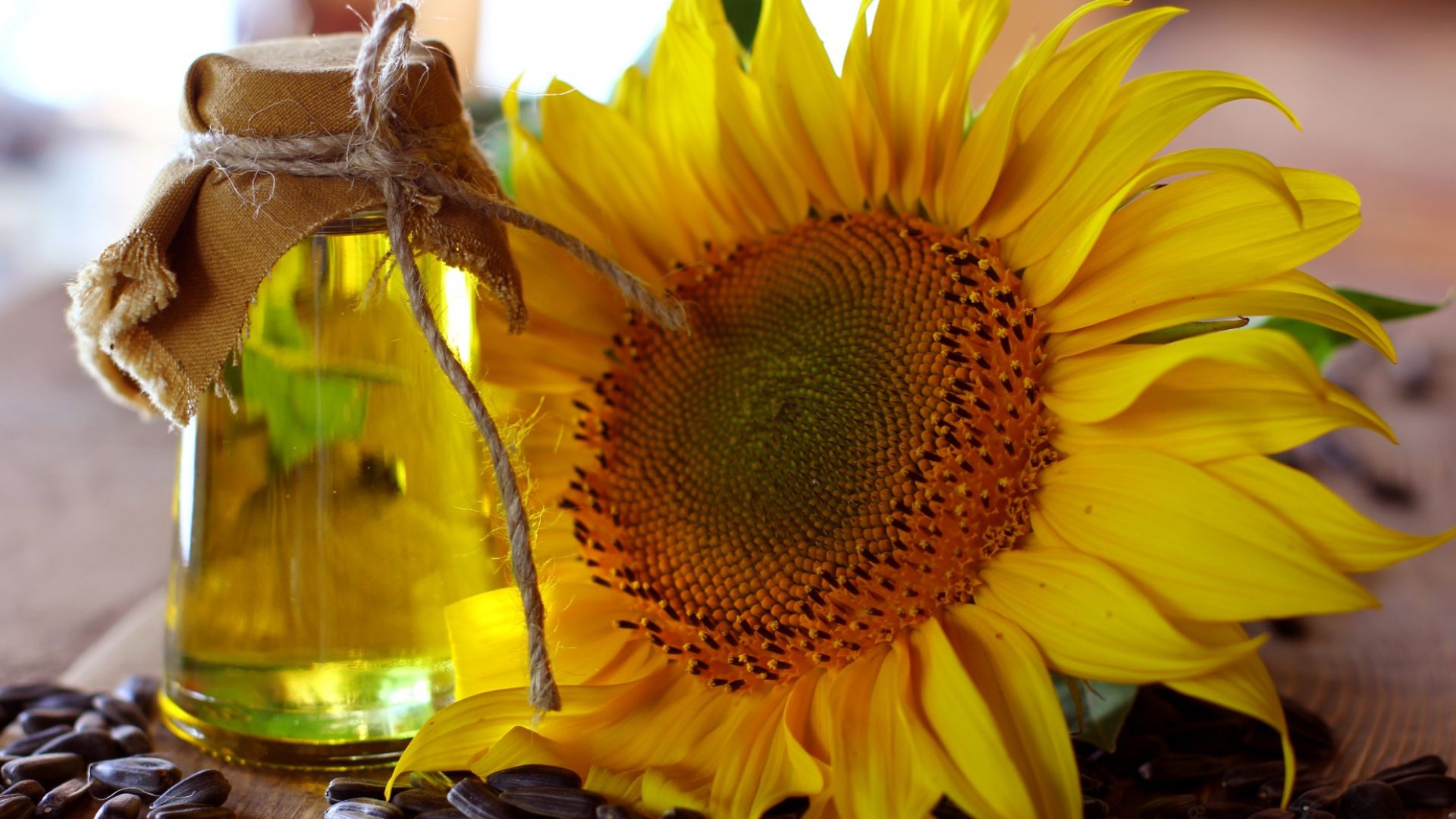 File:Sunflower oil and sunflower.jpg