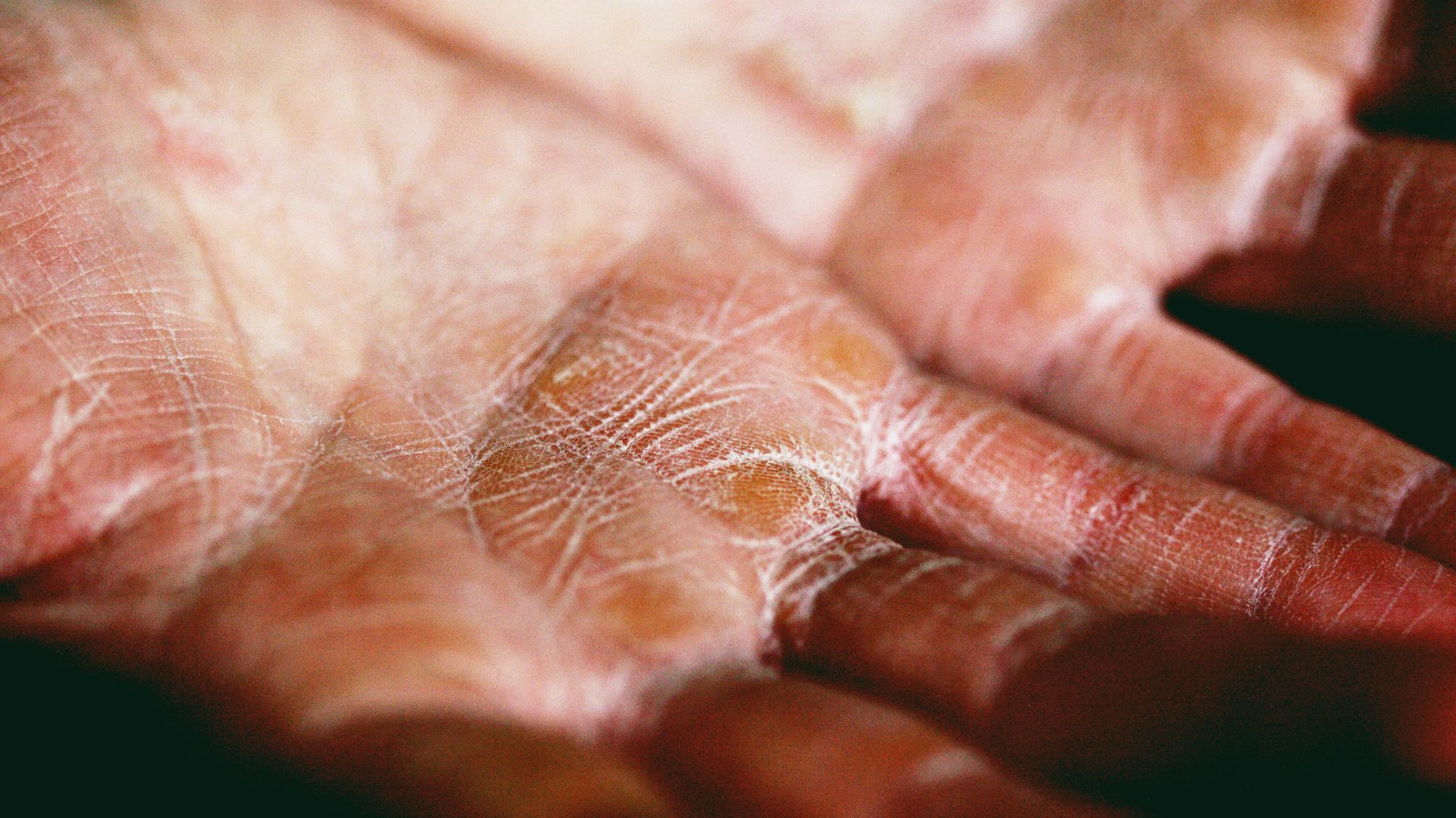 person holding brown and white textile