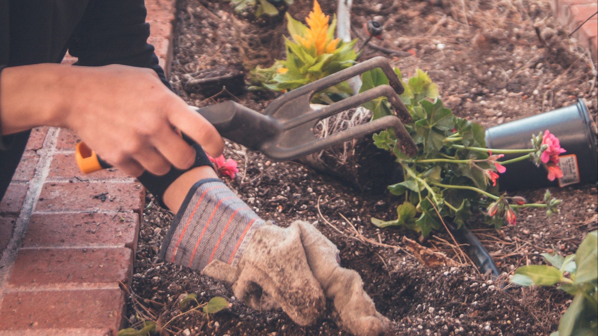 woman holding garden fork