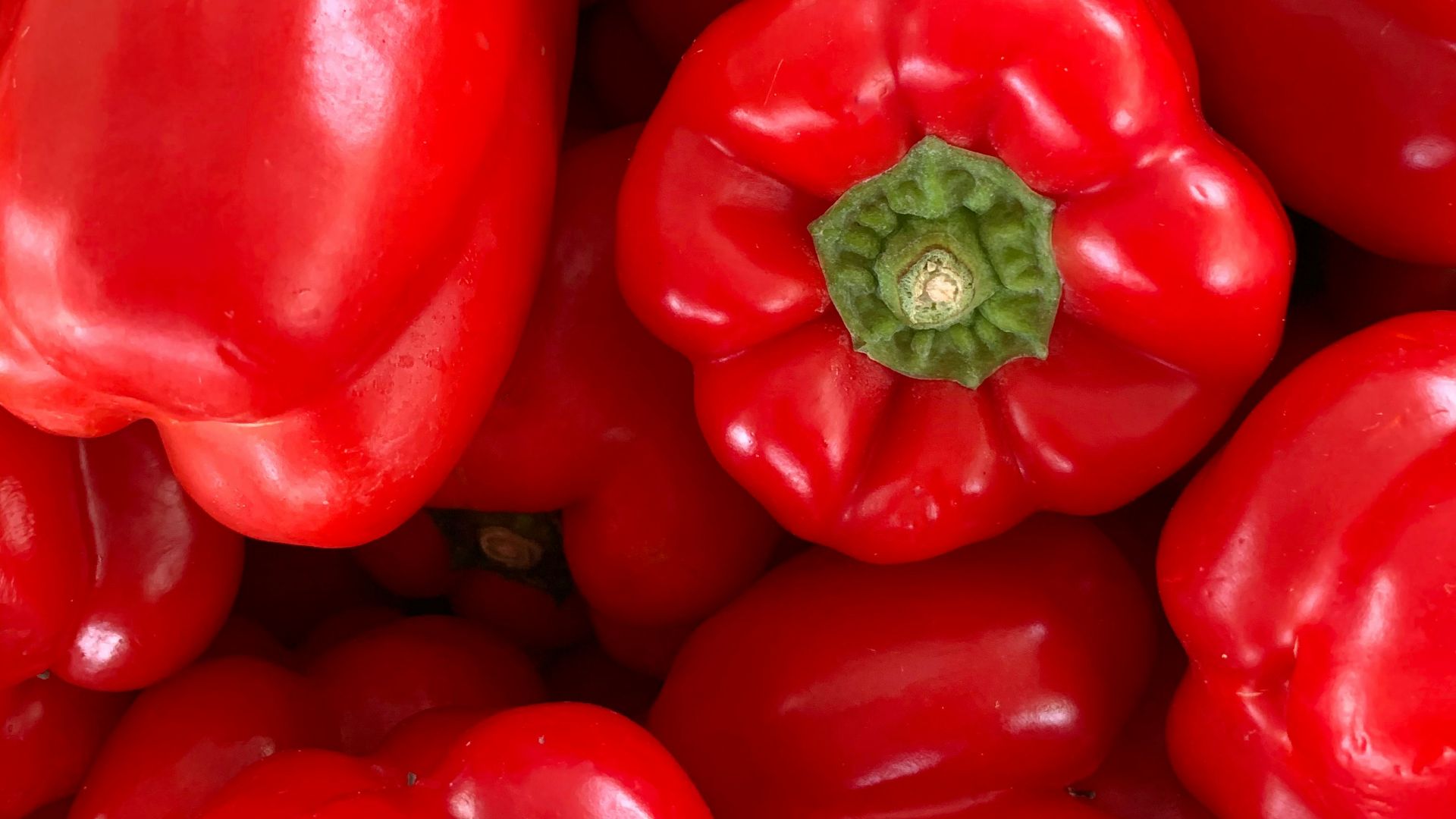 red bell pepper in close up photography