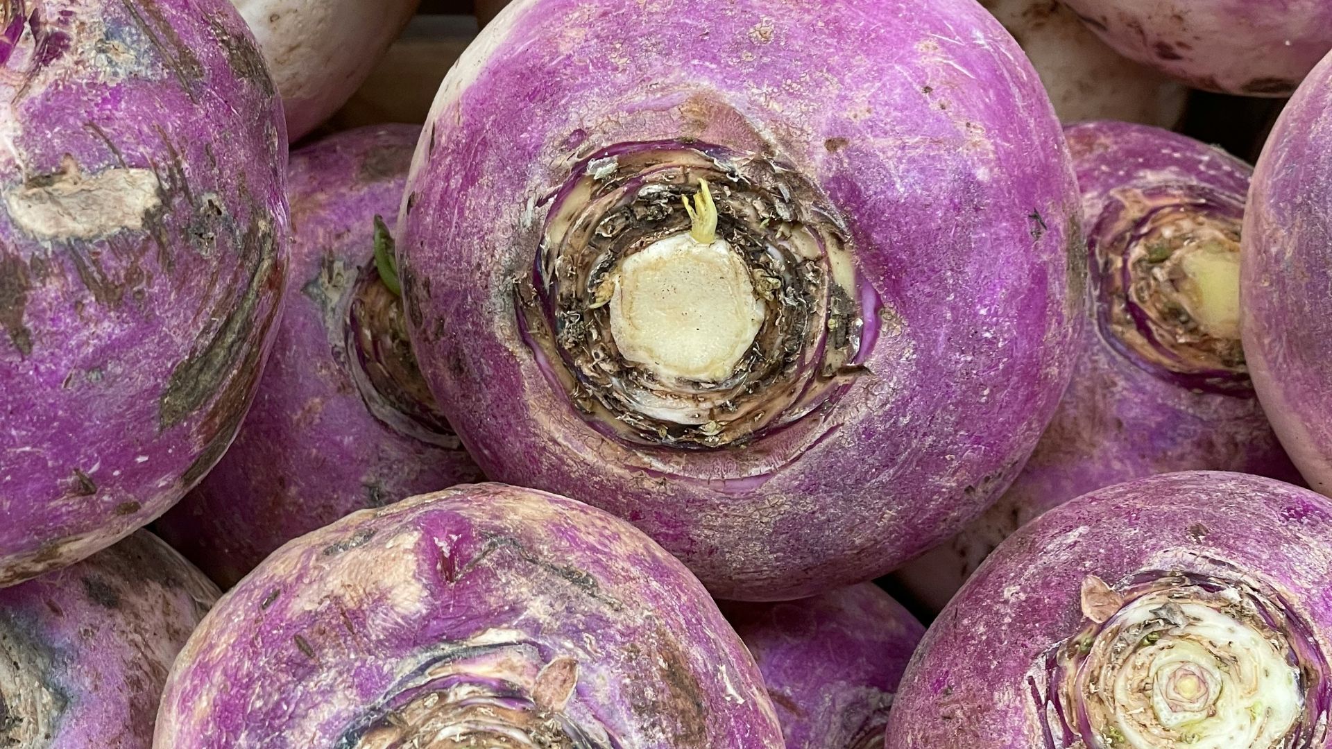 a pile of purple turnips sitting next to each other