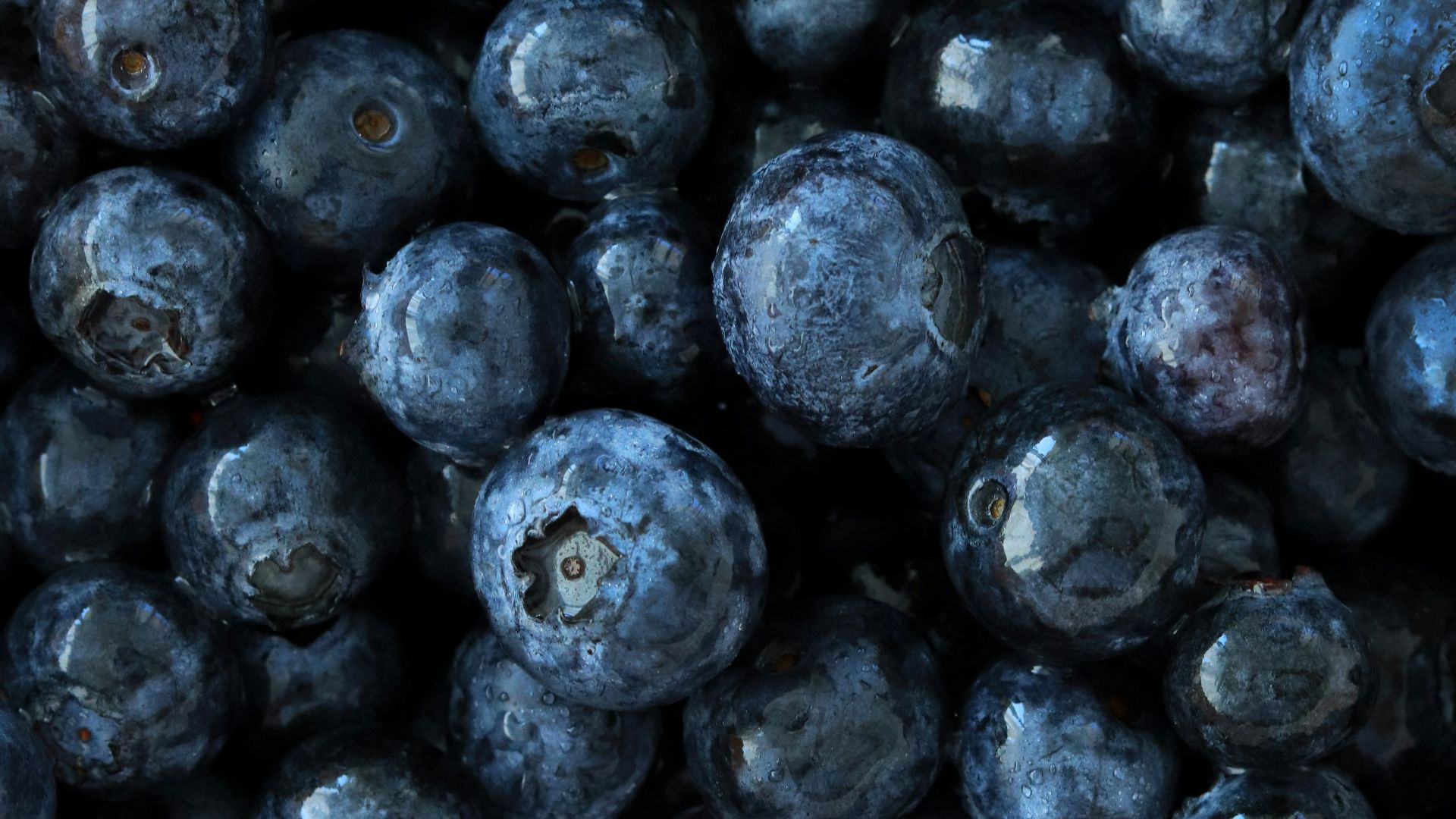 black round fruits on white background