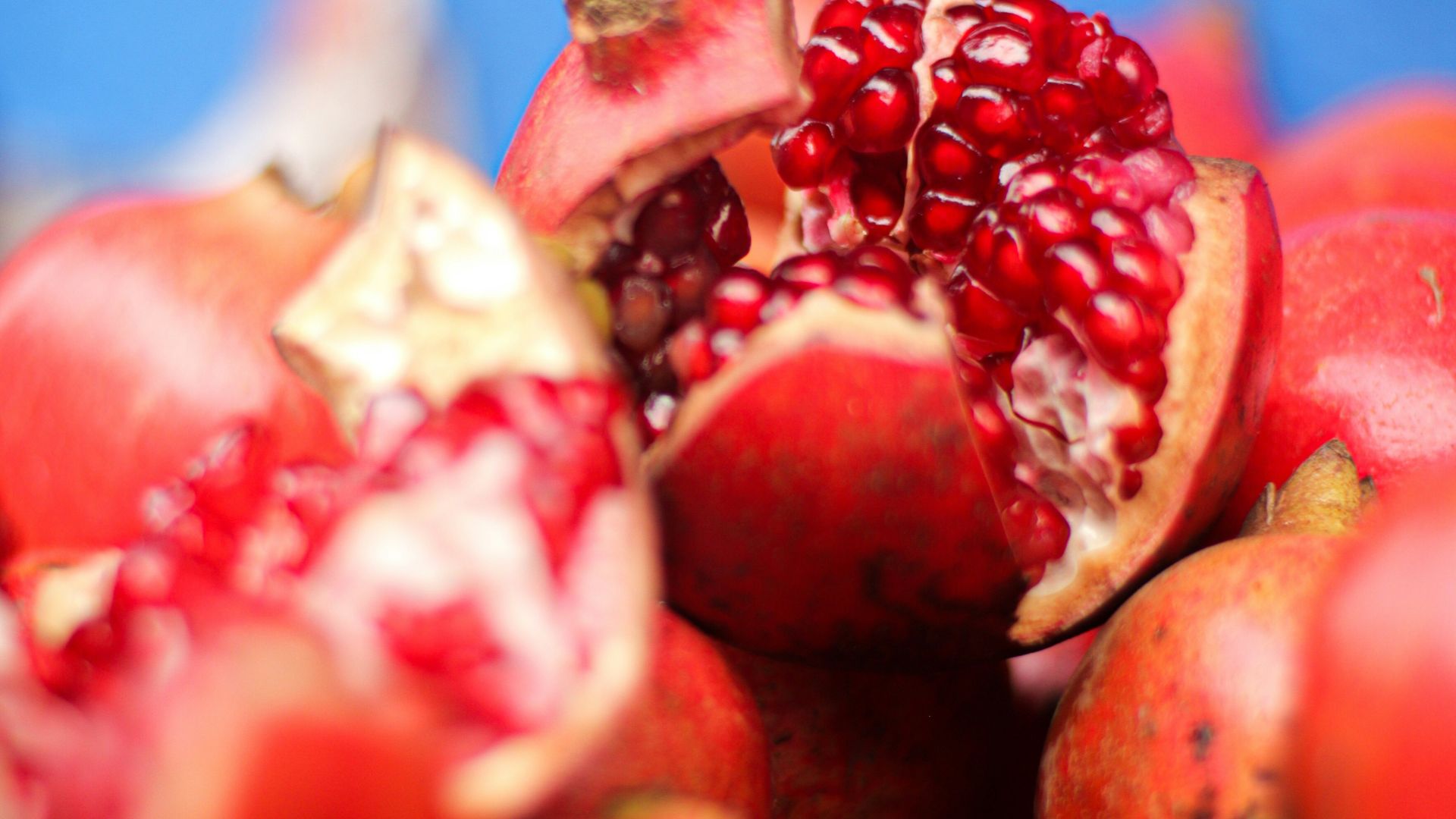 a person holding a bunch of red berries