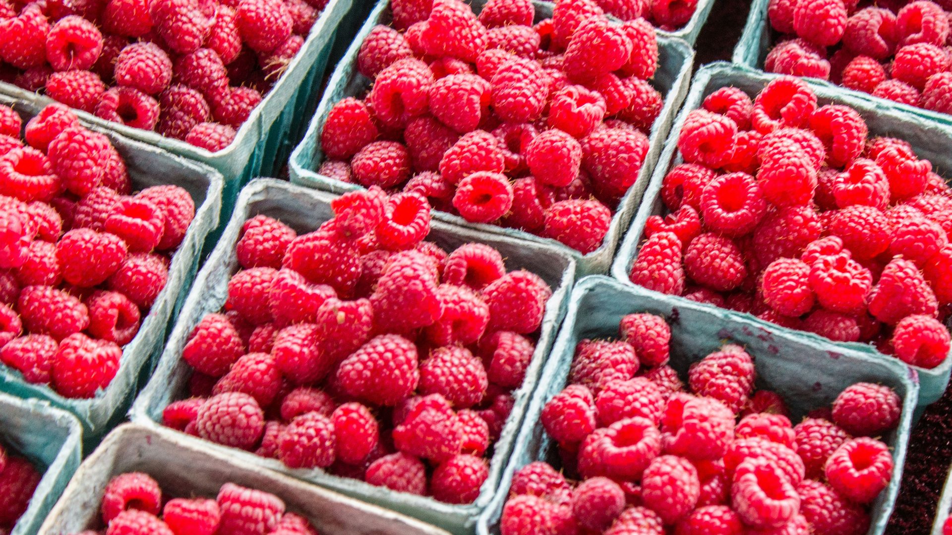 fresh raspberries are displayed in trays for sale