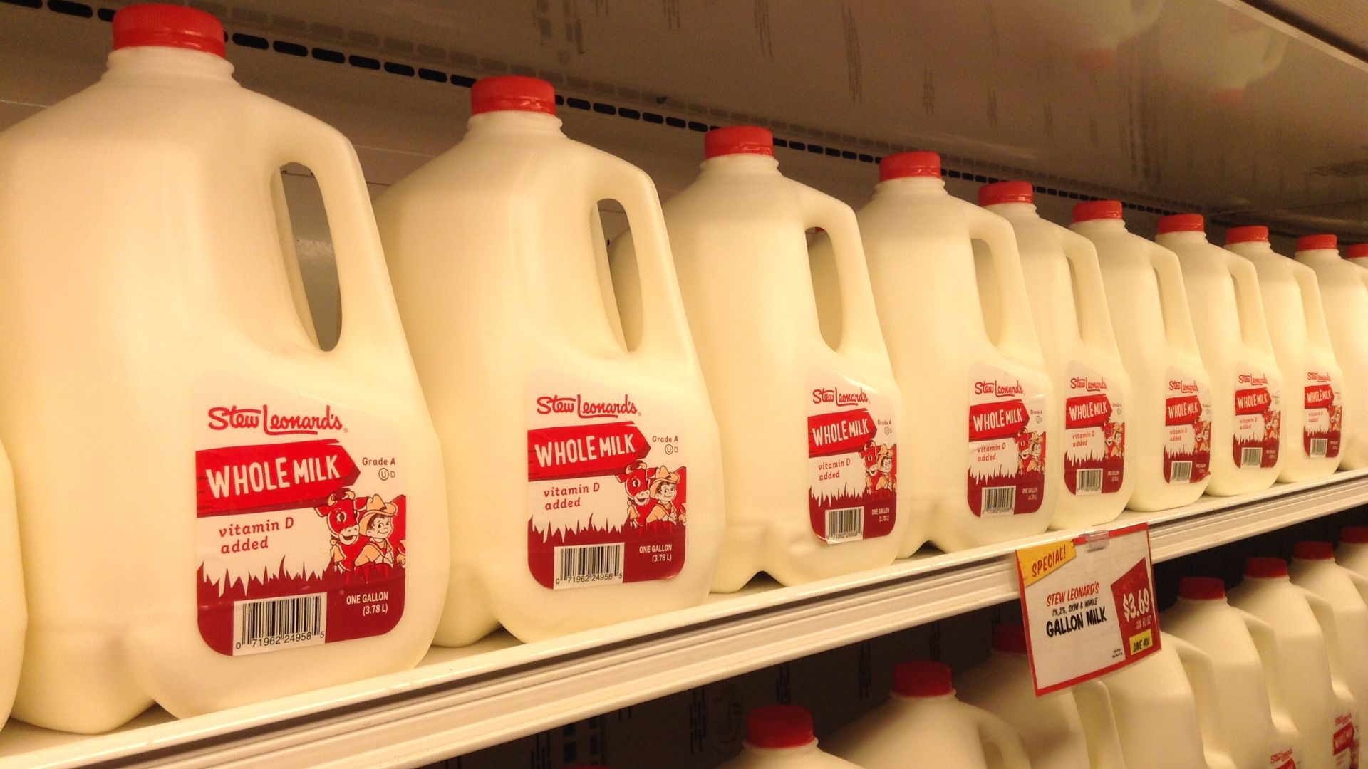 File:Whole milk aisle (17132962560).jpg