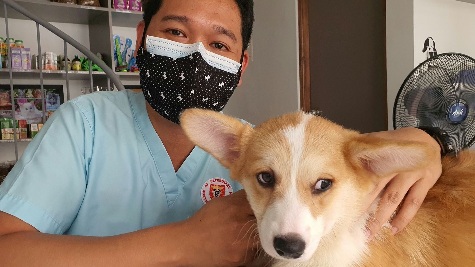 a man wearing a face mask sitting next to a dog