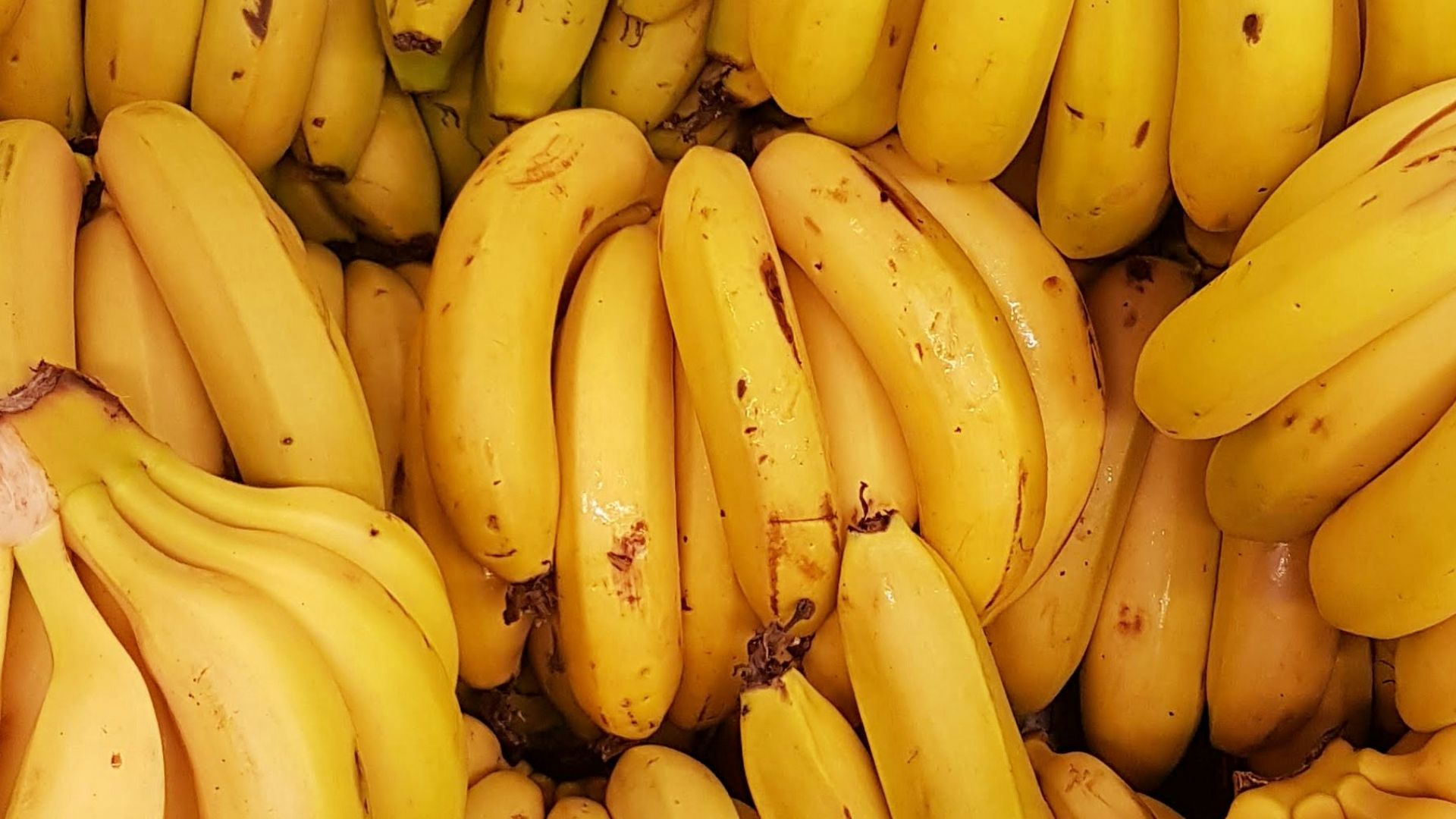 yellow banana fruit on brown wooden table