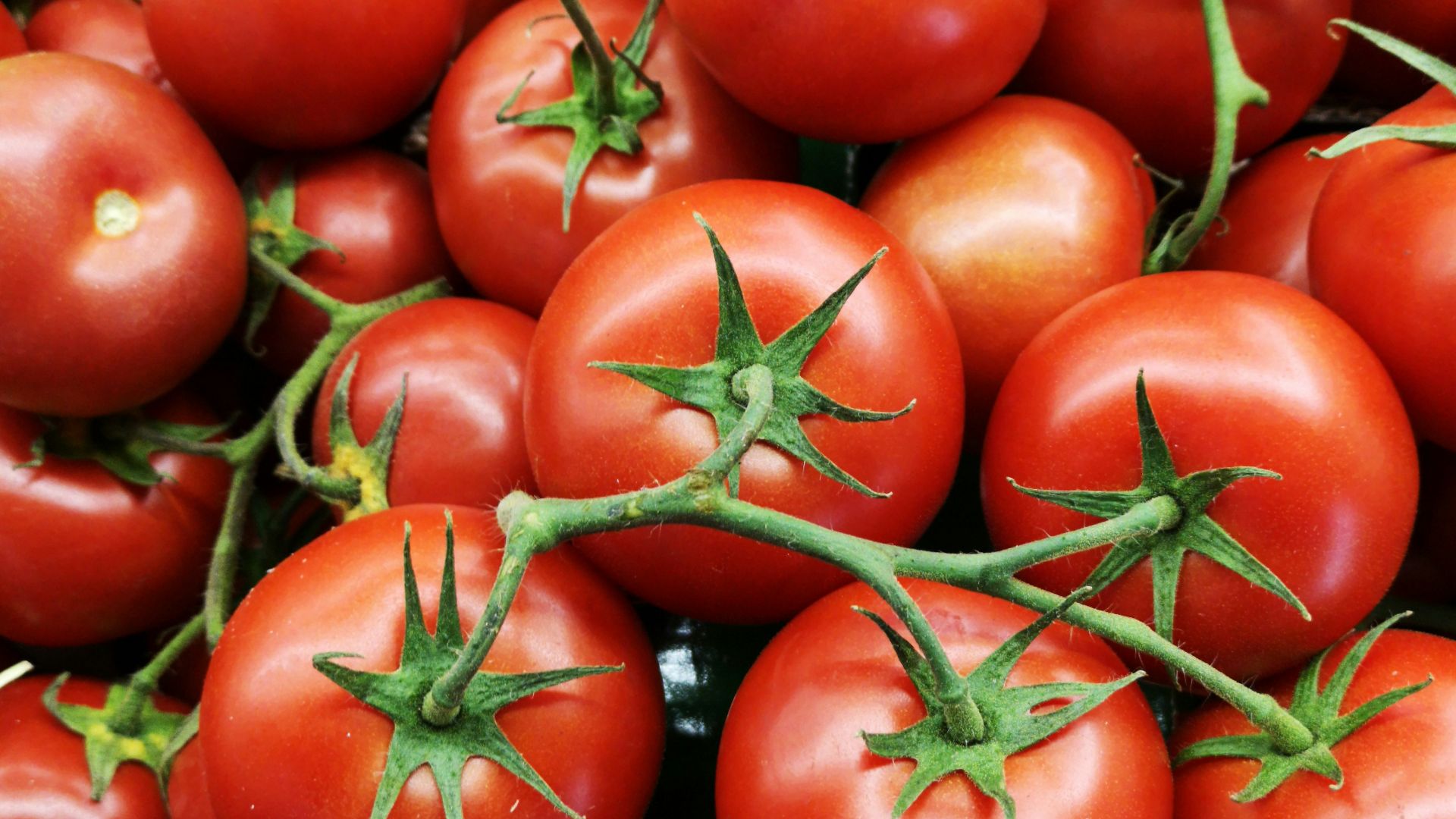 red tomatoes on brown wooden table