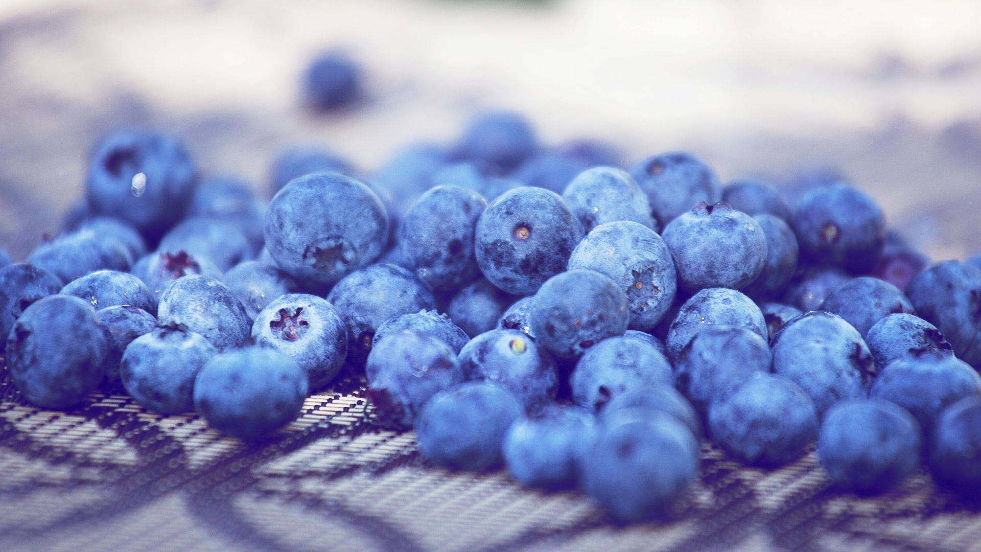 Deeana Arts 🇵🇷