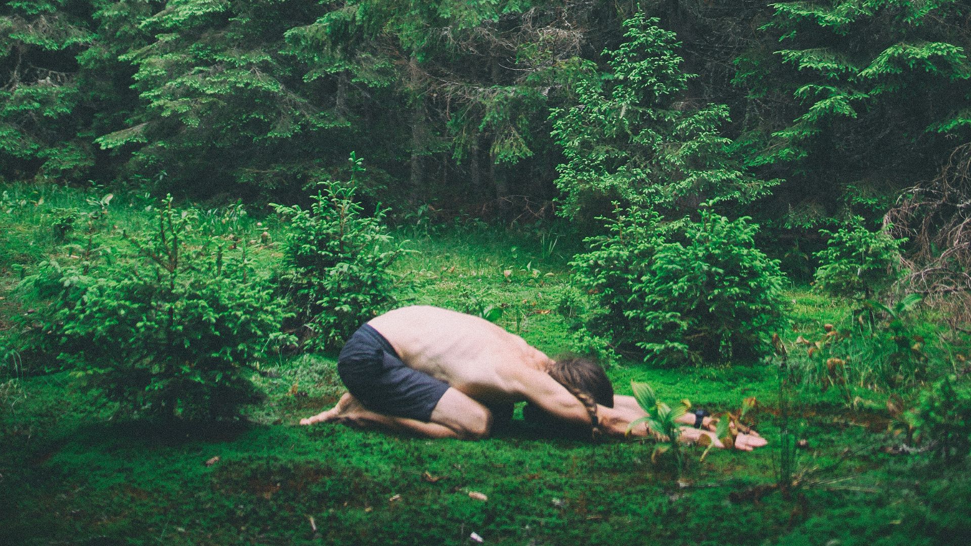 person lying on brown rock in the middle of green trees