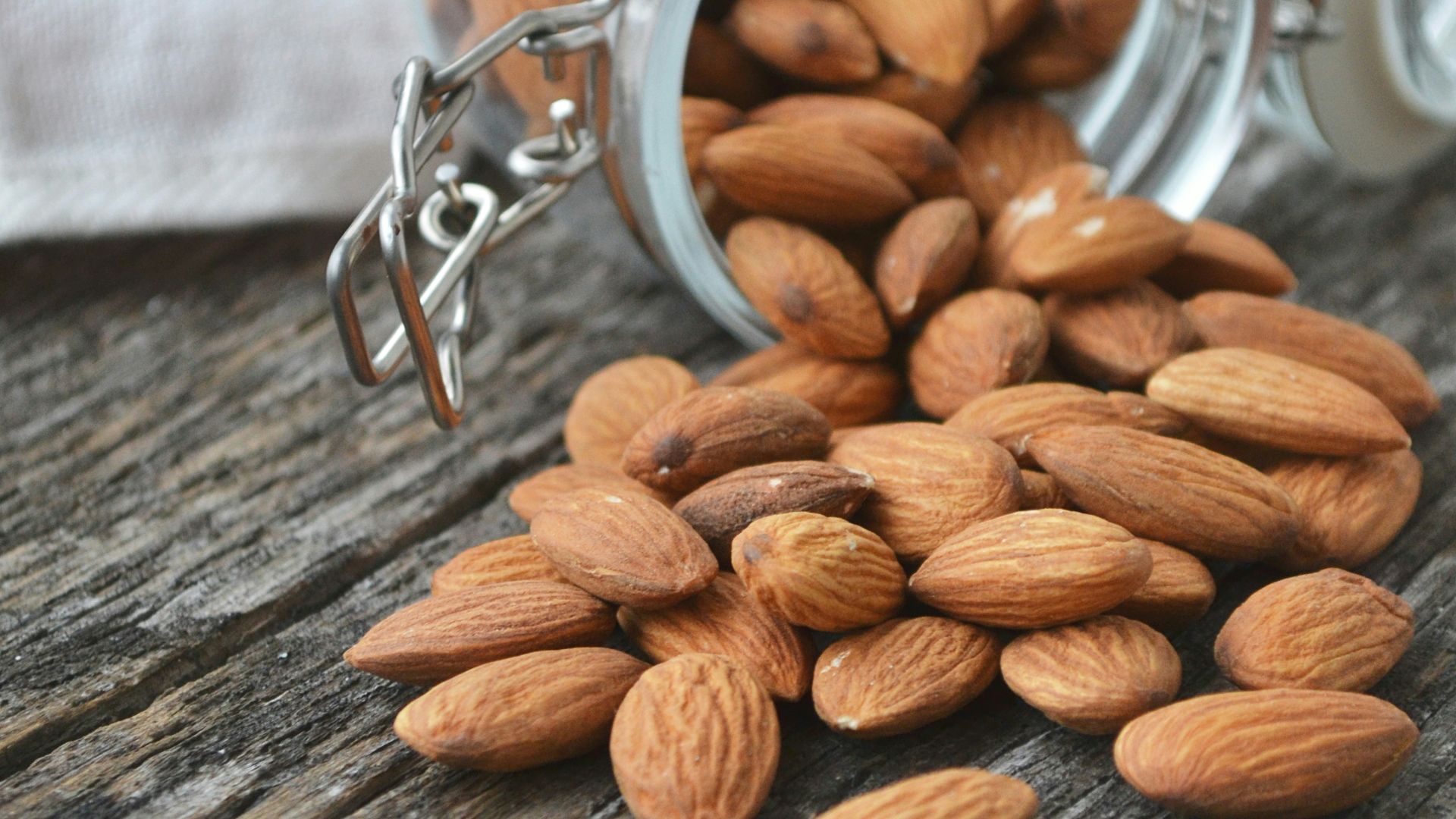 close up photo of Almonds