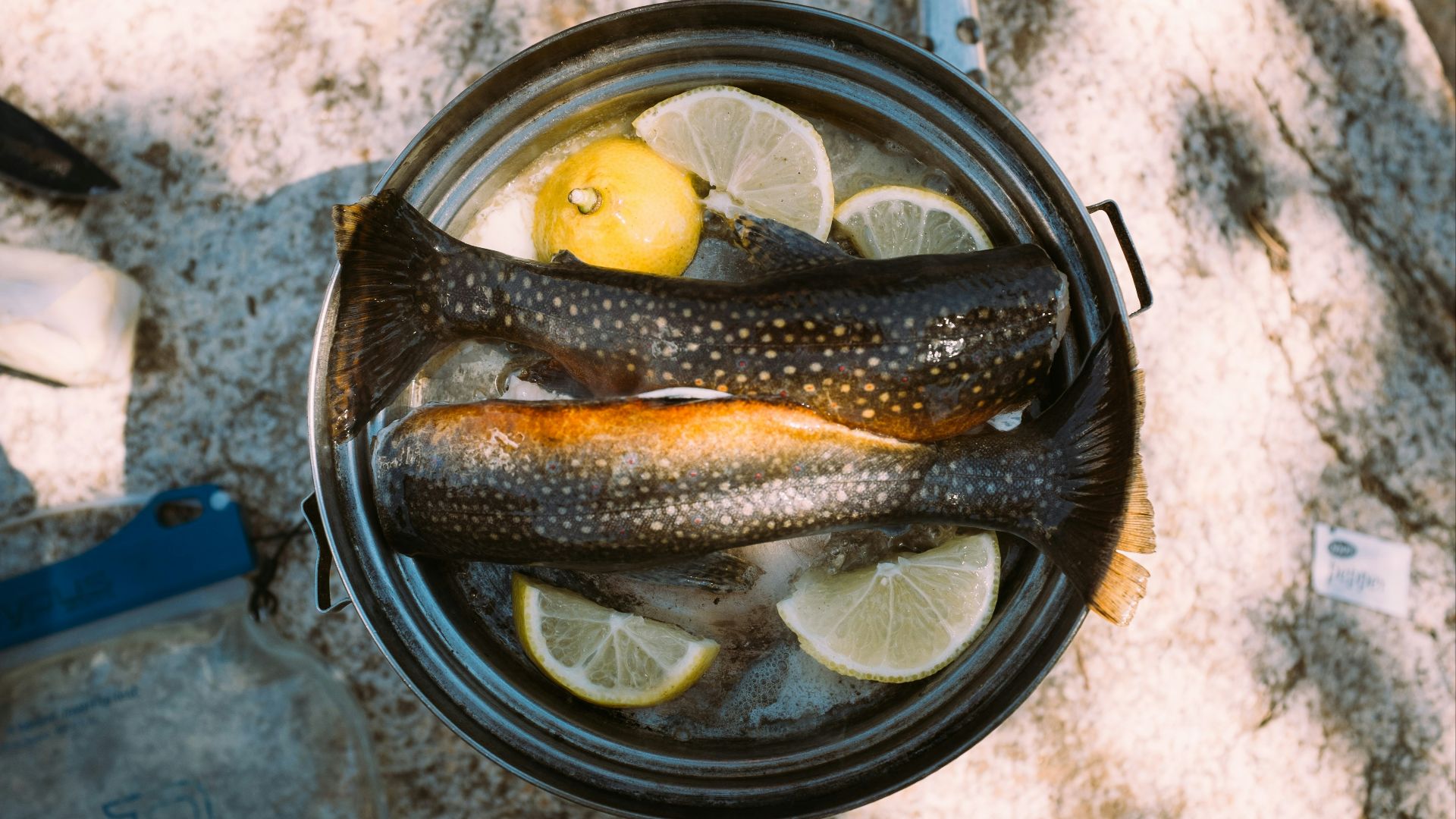 two raw fish with sliced lemon dish