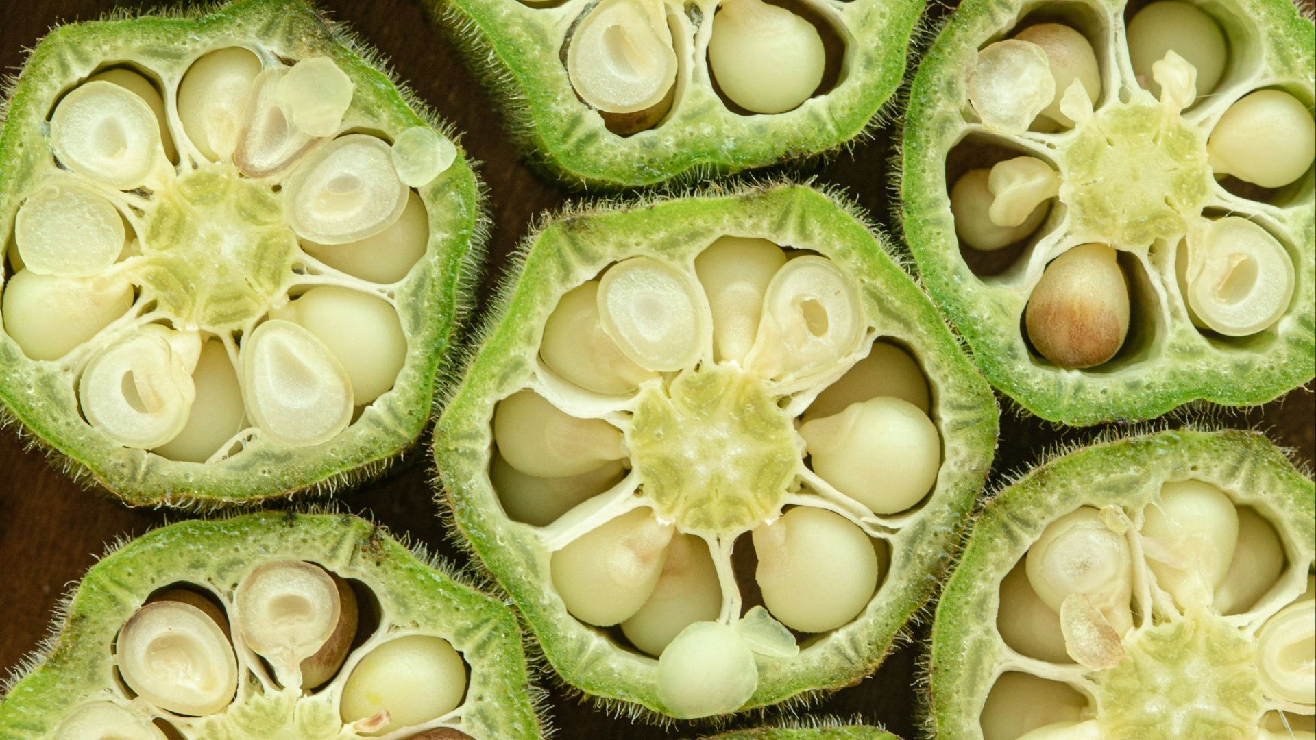close-up photography of sliced okra