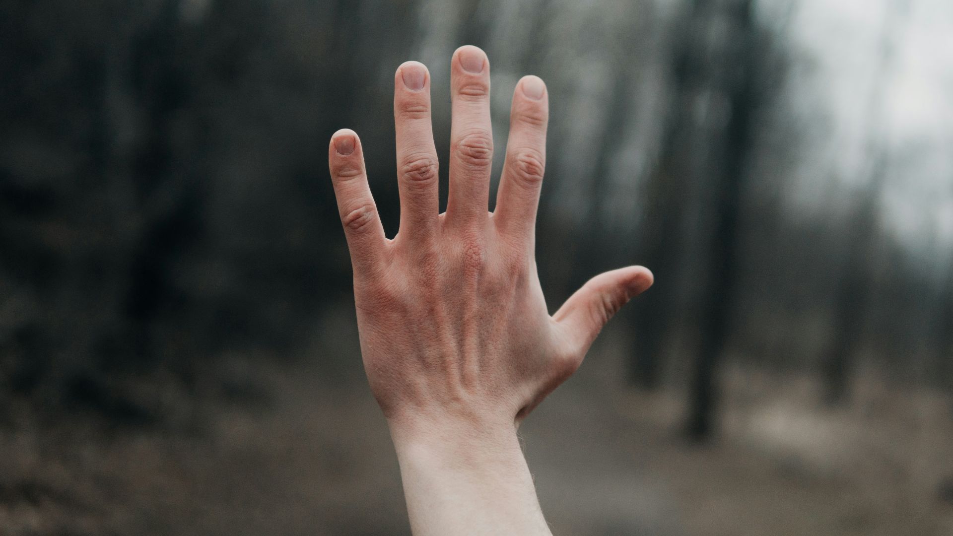 shallow focus photography of person's left hand outside