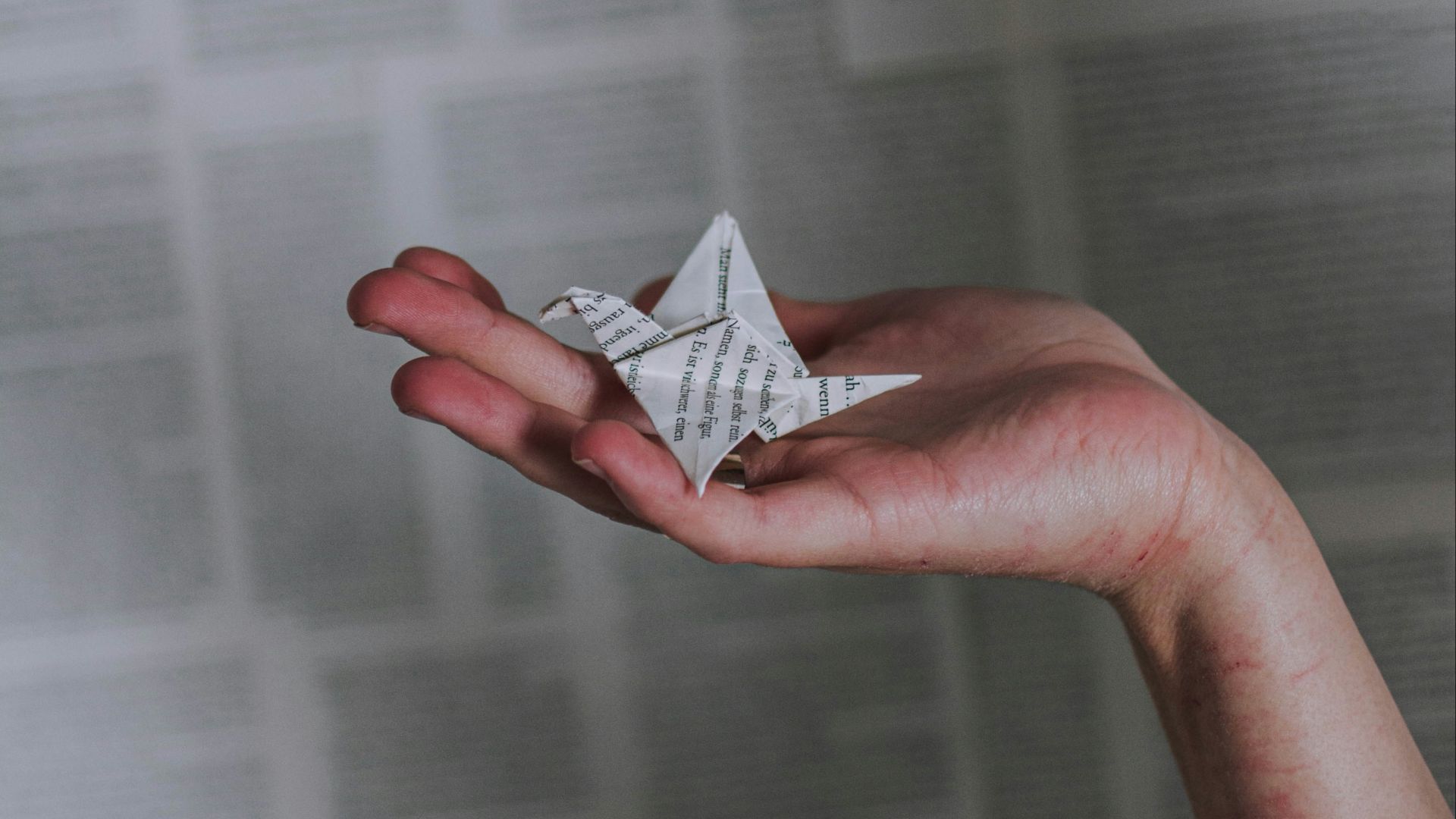 person holding bird origami
